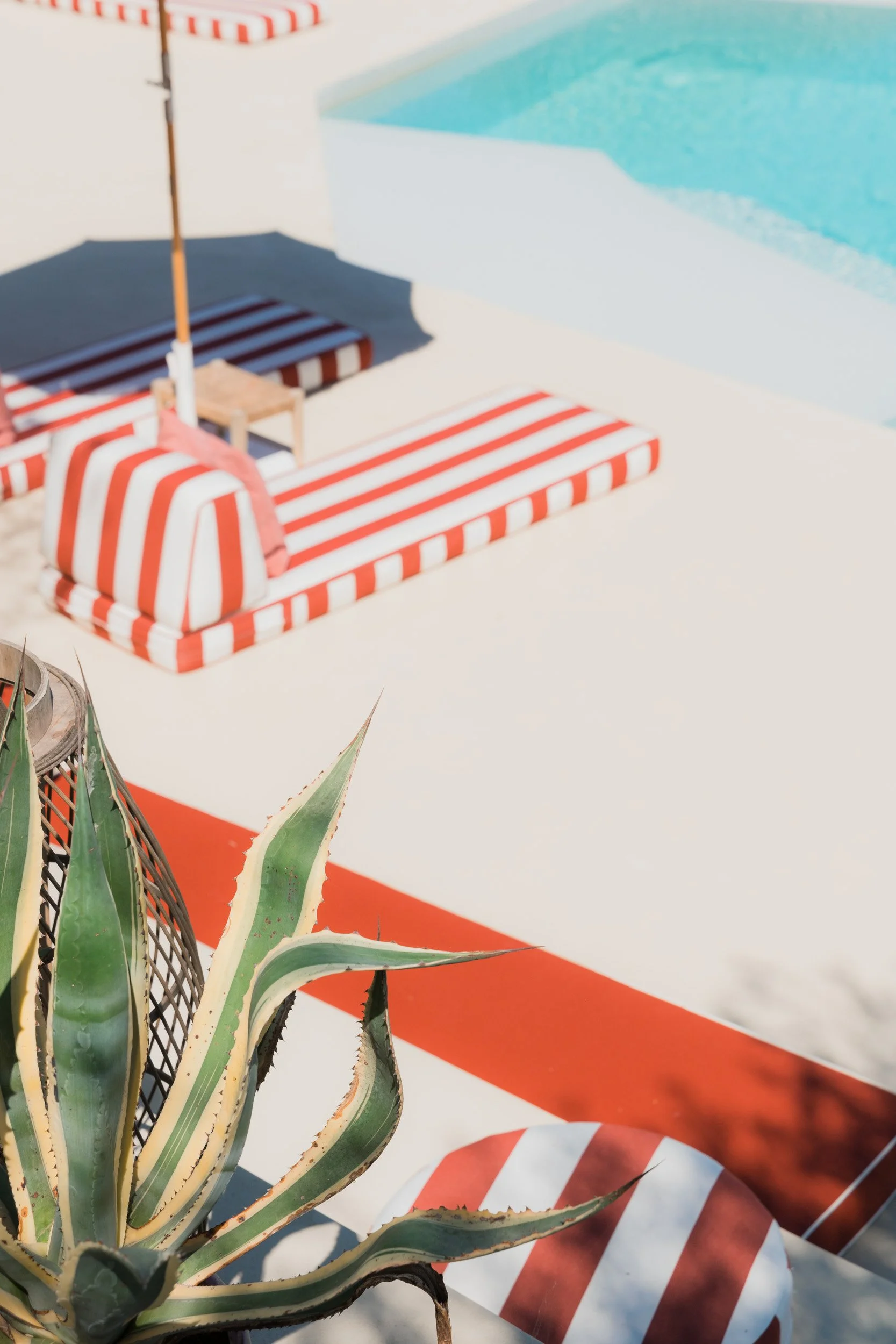 A view of a swimming pool area with red and white striped lounge chairs and umbrellas, a potted plant in the foreground, and a white deck with a red border.