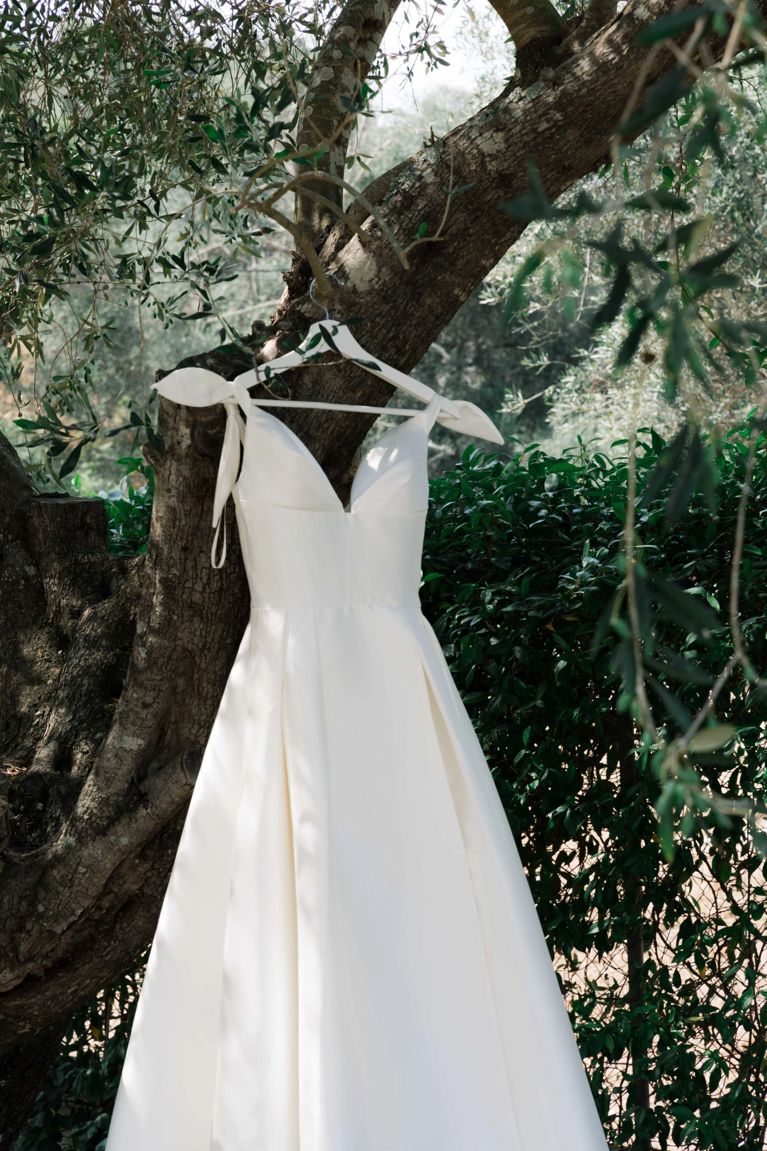 A white wedding dress hanging on a tree branch outdoors surrounded by greenery.