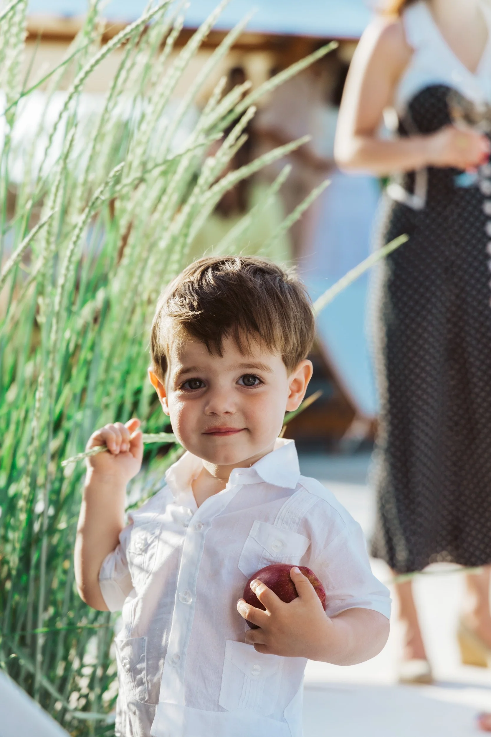 A young boy holding a red apple with tall green grasses nearby, at an outdoor event with other people in the background.