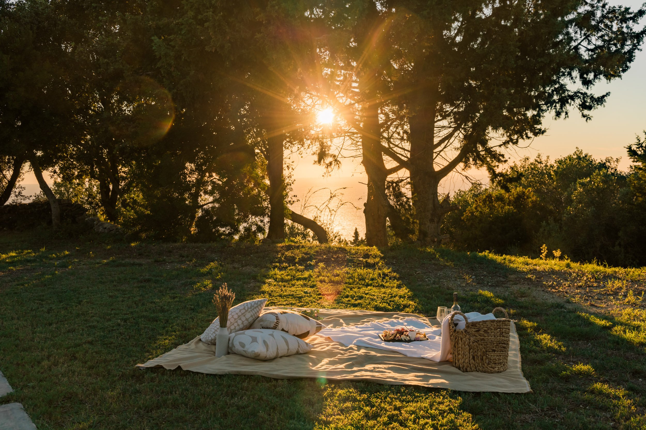 A picnic setup with pillows, a blanket, and a basket on a grassy field at sunset, with trees and the sun in the background.