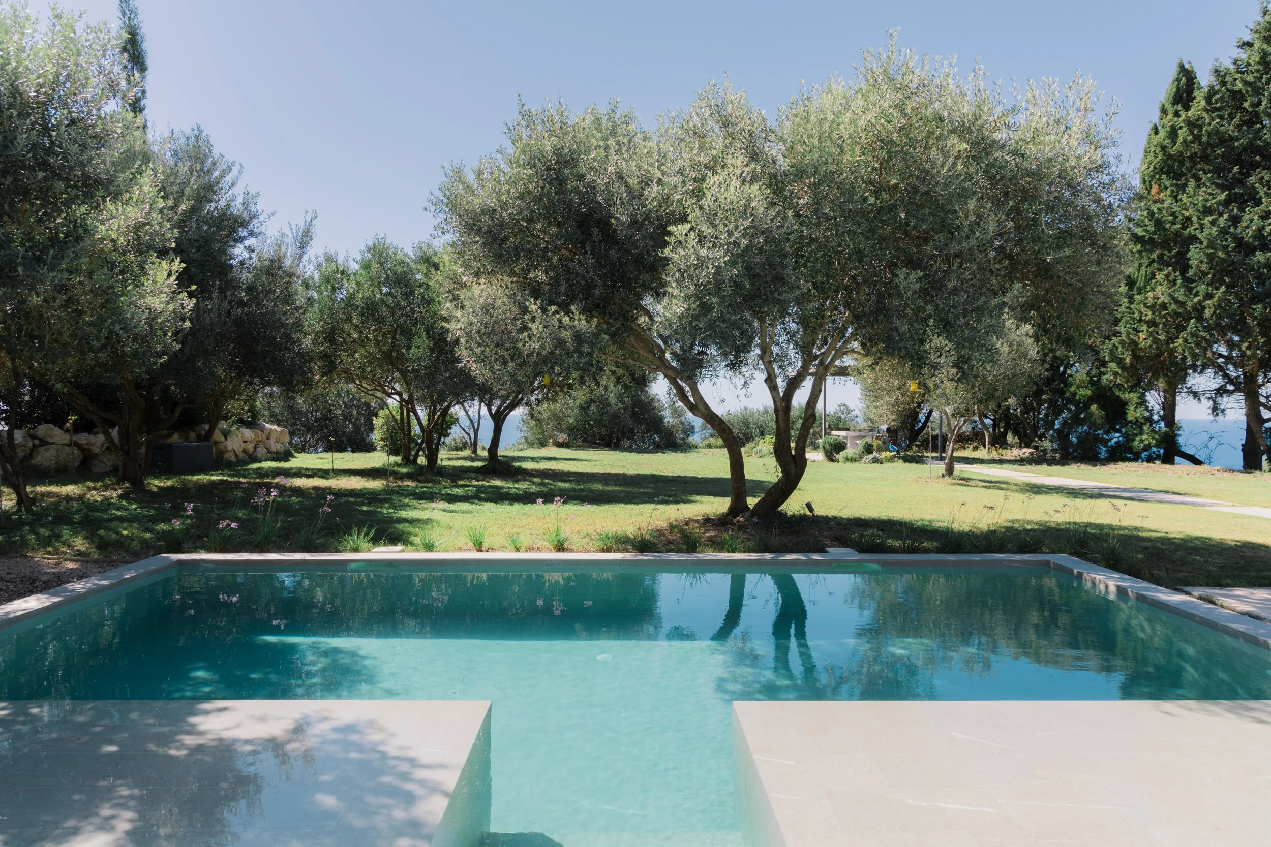 A backyard with a swimming pool in the foreground and lush green trees and grass in the background, under a clear blue sky.
