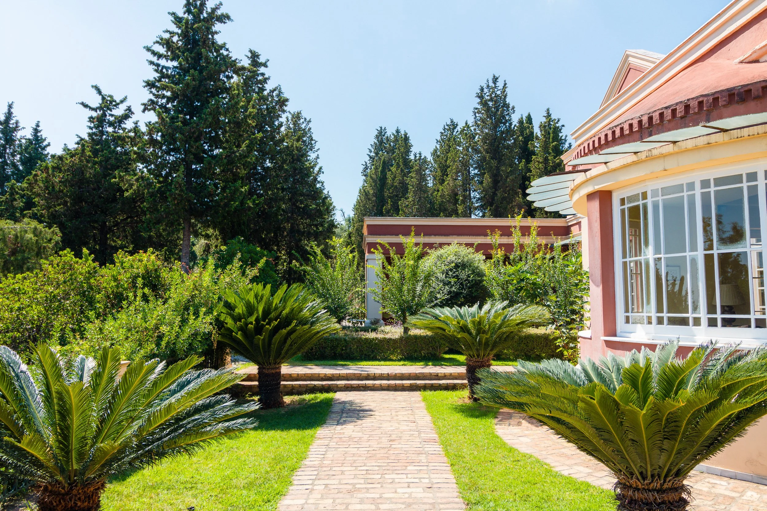 A sunny garden pathway with green grass and symmetrical sago palm plants leading to a house with large windows, surrounded by tall trees and lush vegetation.