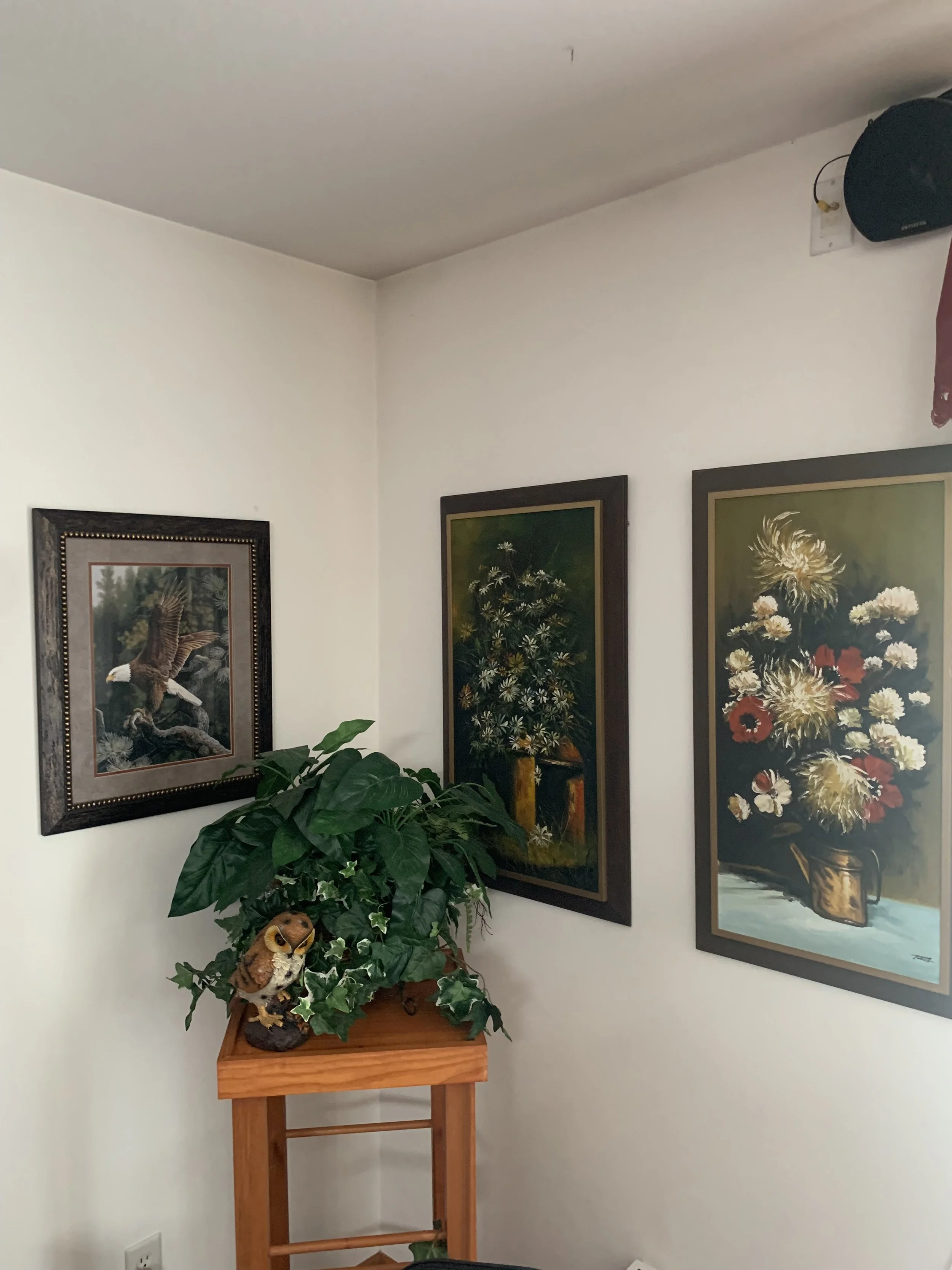 IMG_2809.jpeg