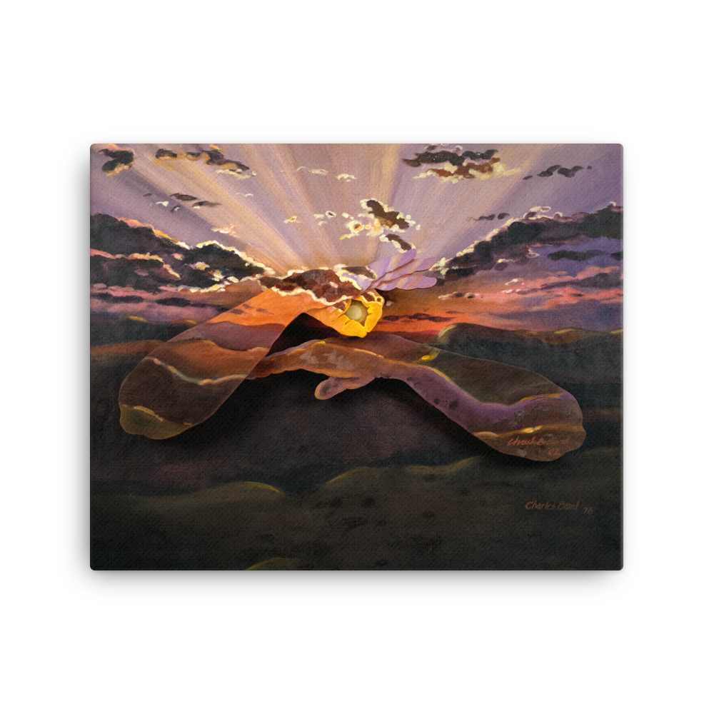 16x20_Dawn_mockup_Wall_Wall_16x20.png