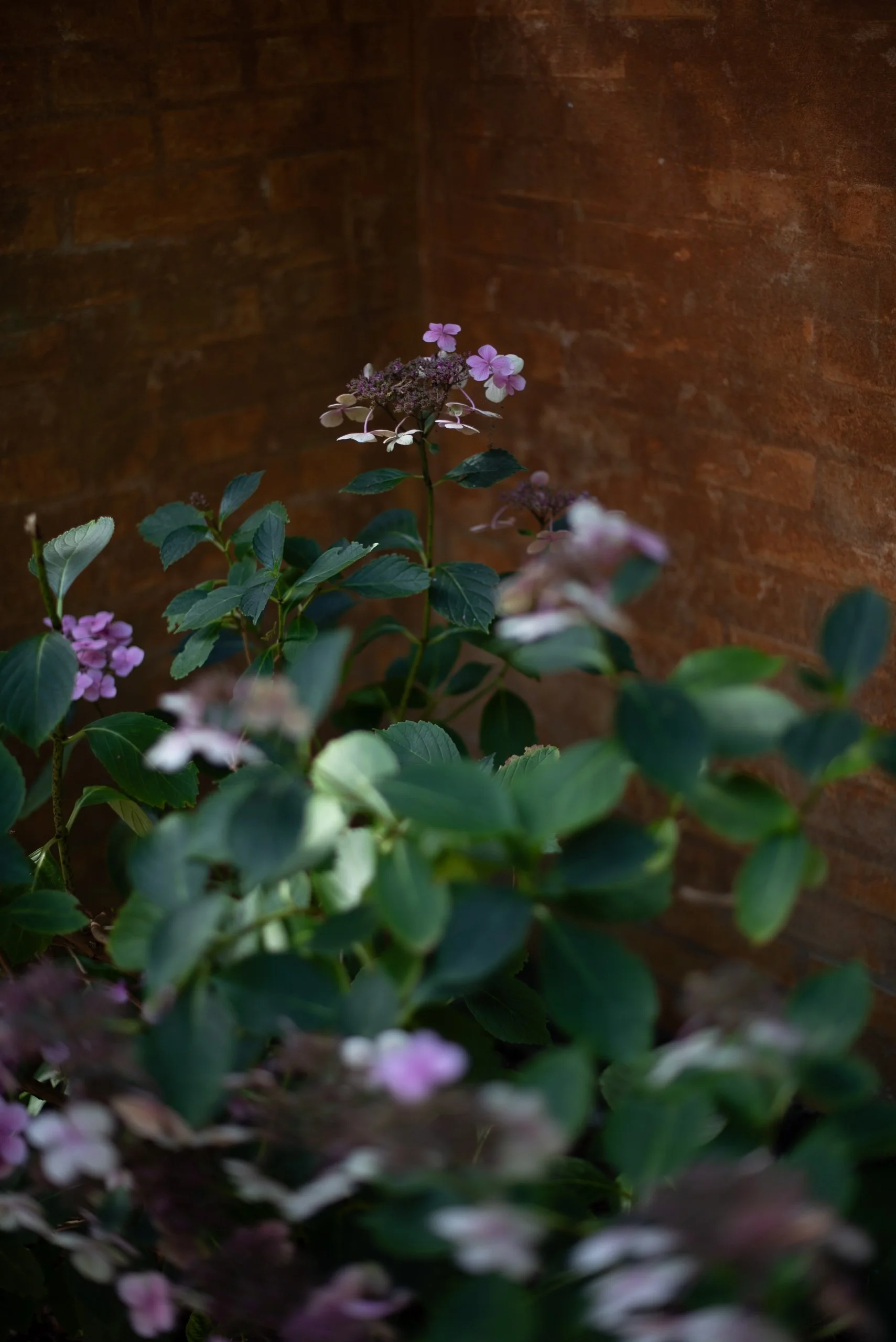 Naturalistic Flowers Aesme Studio