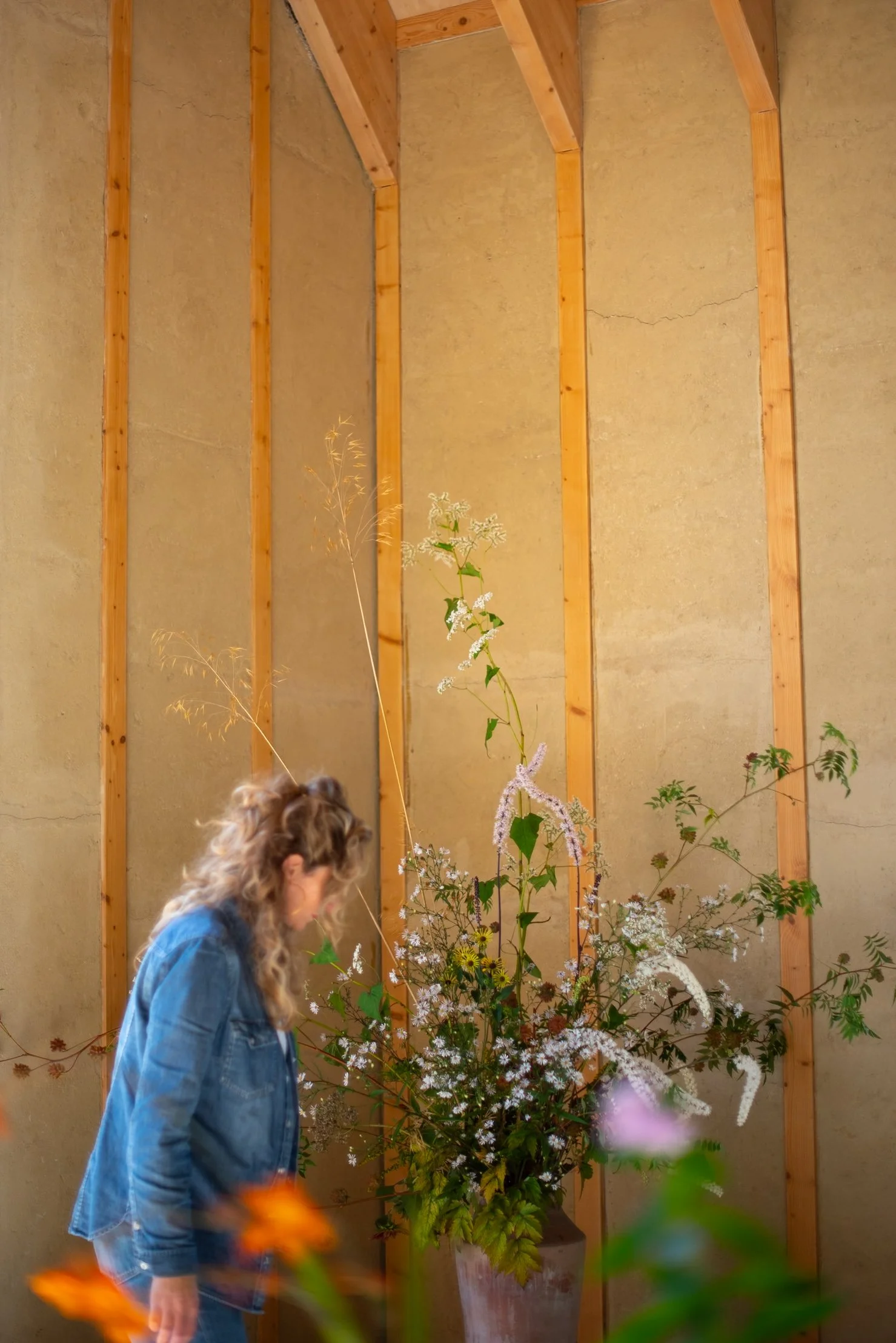 Plant Library Serge Hill