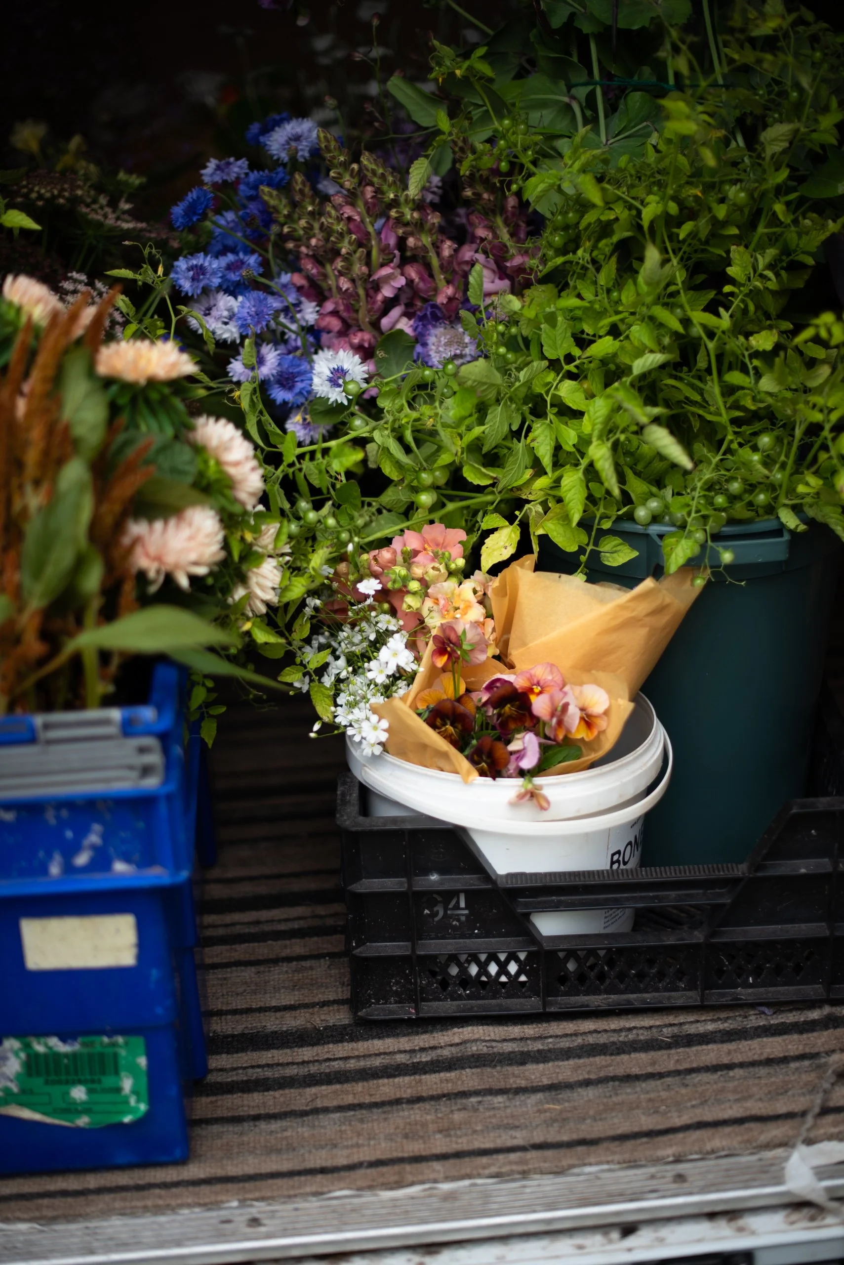 Naturalistic Flowers Aesme Studio