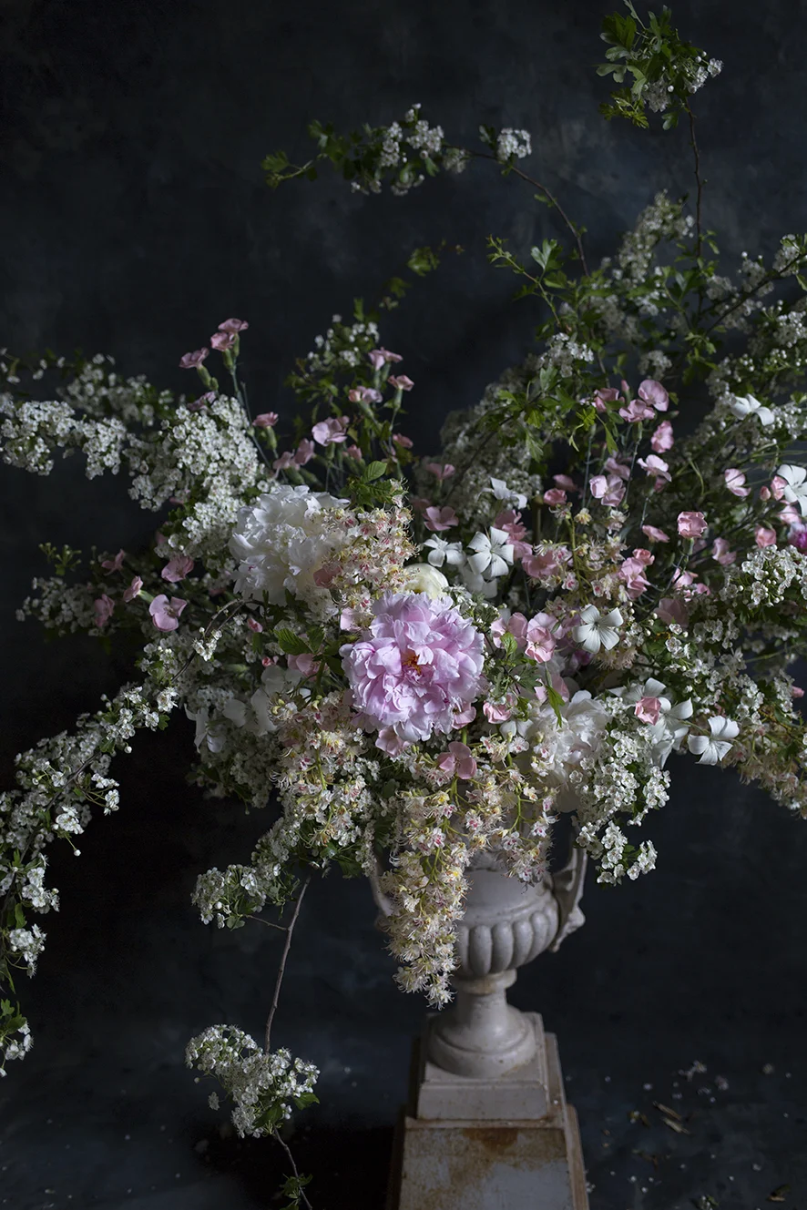 Focal peonies were surrounded by Agrostemma and Dianthus 'Solomio'.