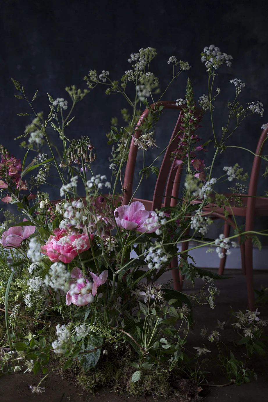 Organic 'pew end' designs, using concealed vessels of water under a moss base with Coral Charm peonies, foxgloves, allium, cow parsley & clematis.