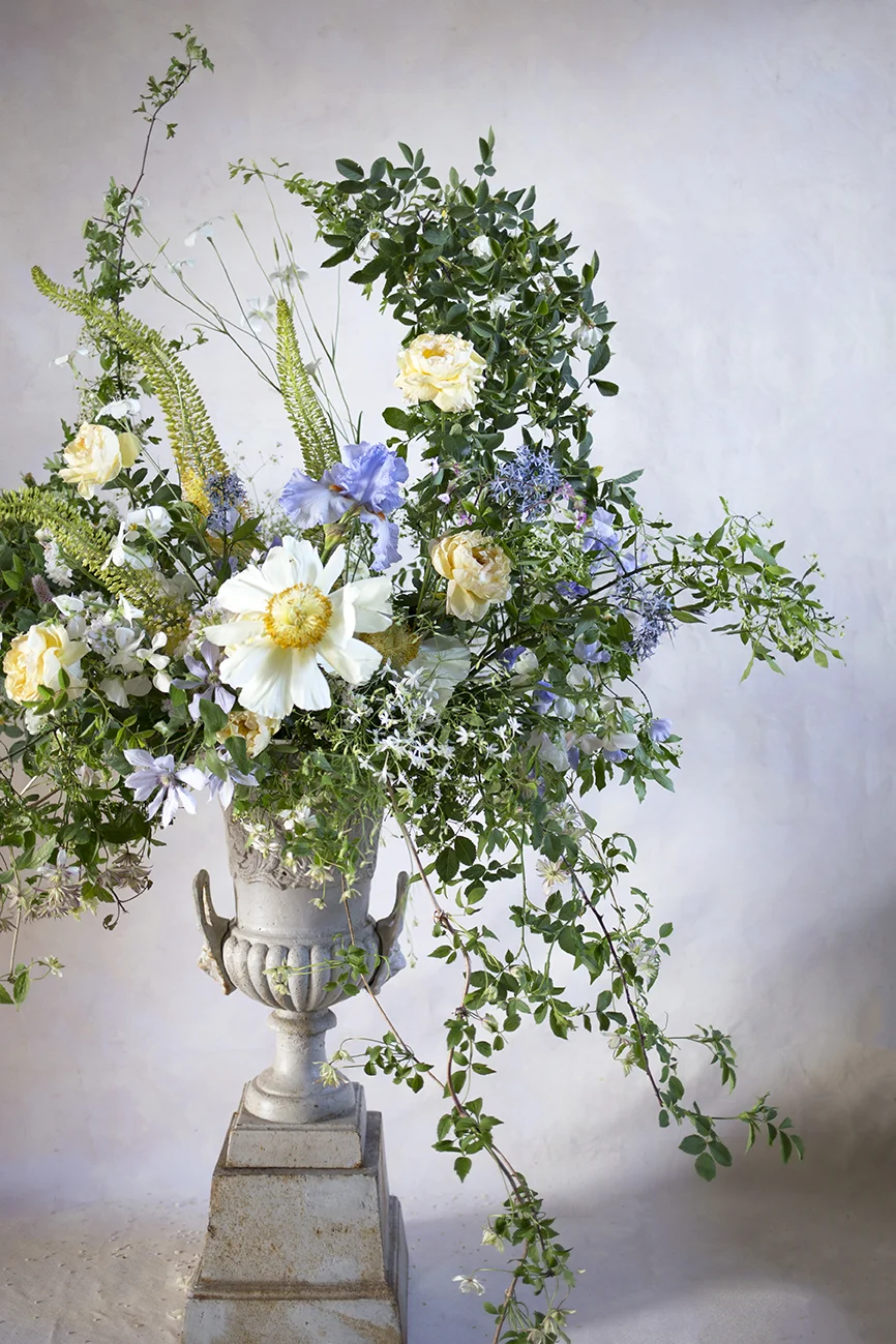 Dog rose, Clare de Lune peonies, bearded iris, garden roses, Eremerus, sweetpeas and clematis - a collaborative urn composition created with Samantha of Mayura Flowers