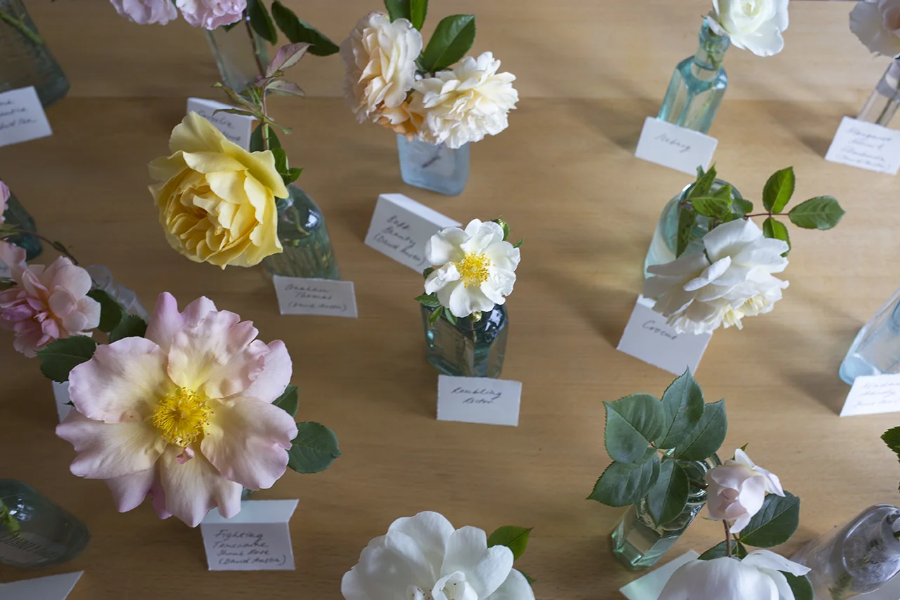 A few of our favourites...