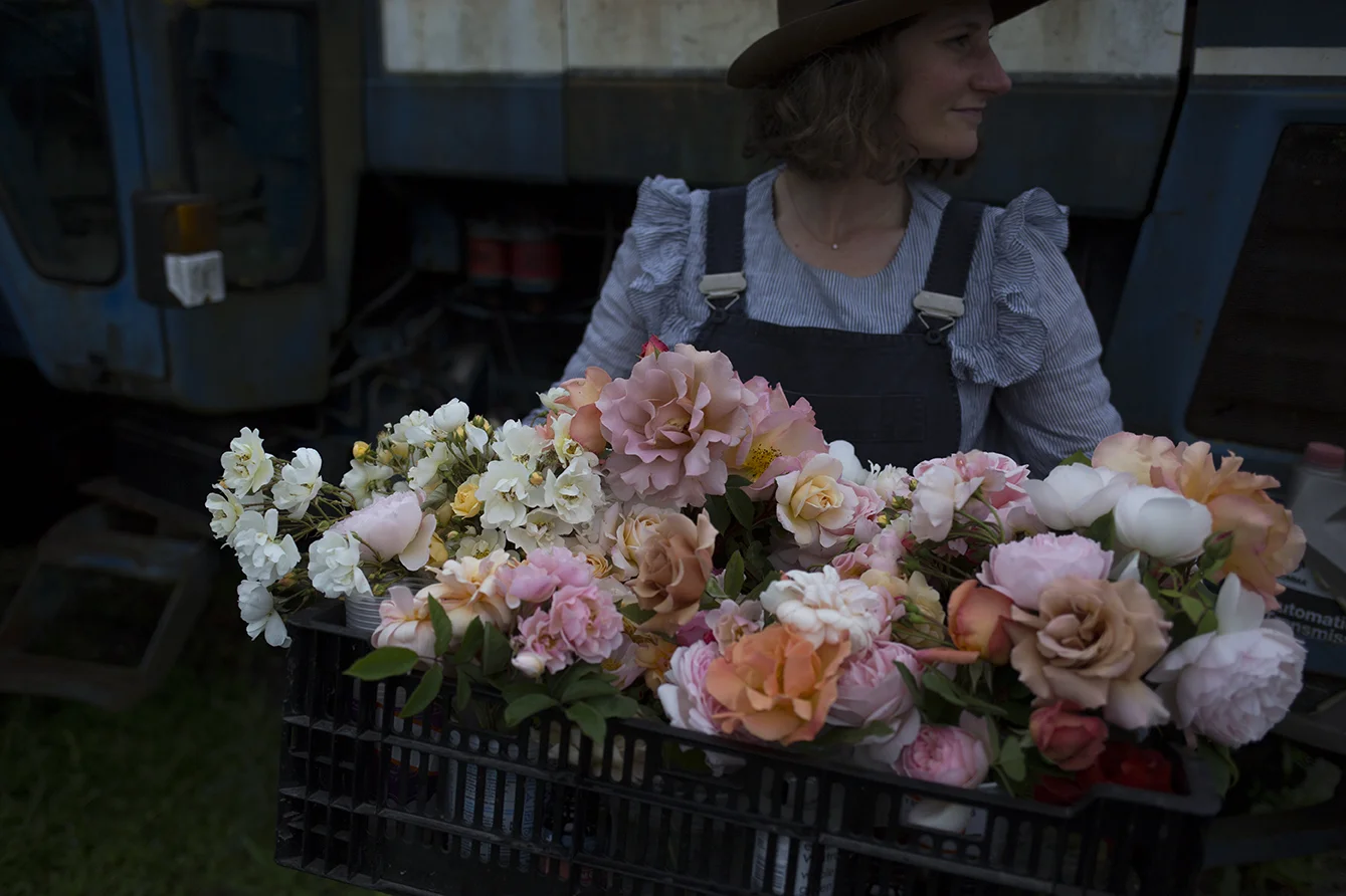 A fresh crate of roses cut from the garden for our English Rose class.