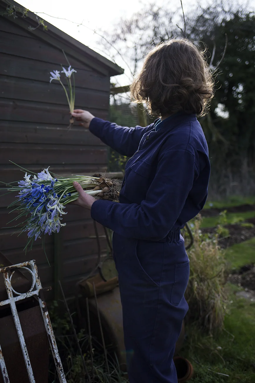 Iris reticulata in flower arrangements | Aesme Studio London