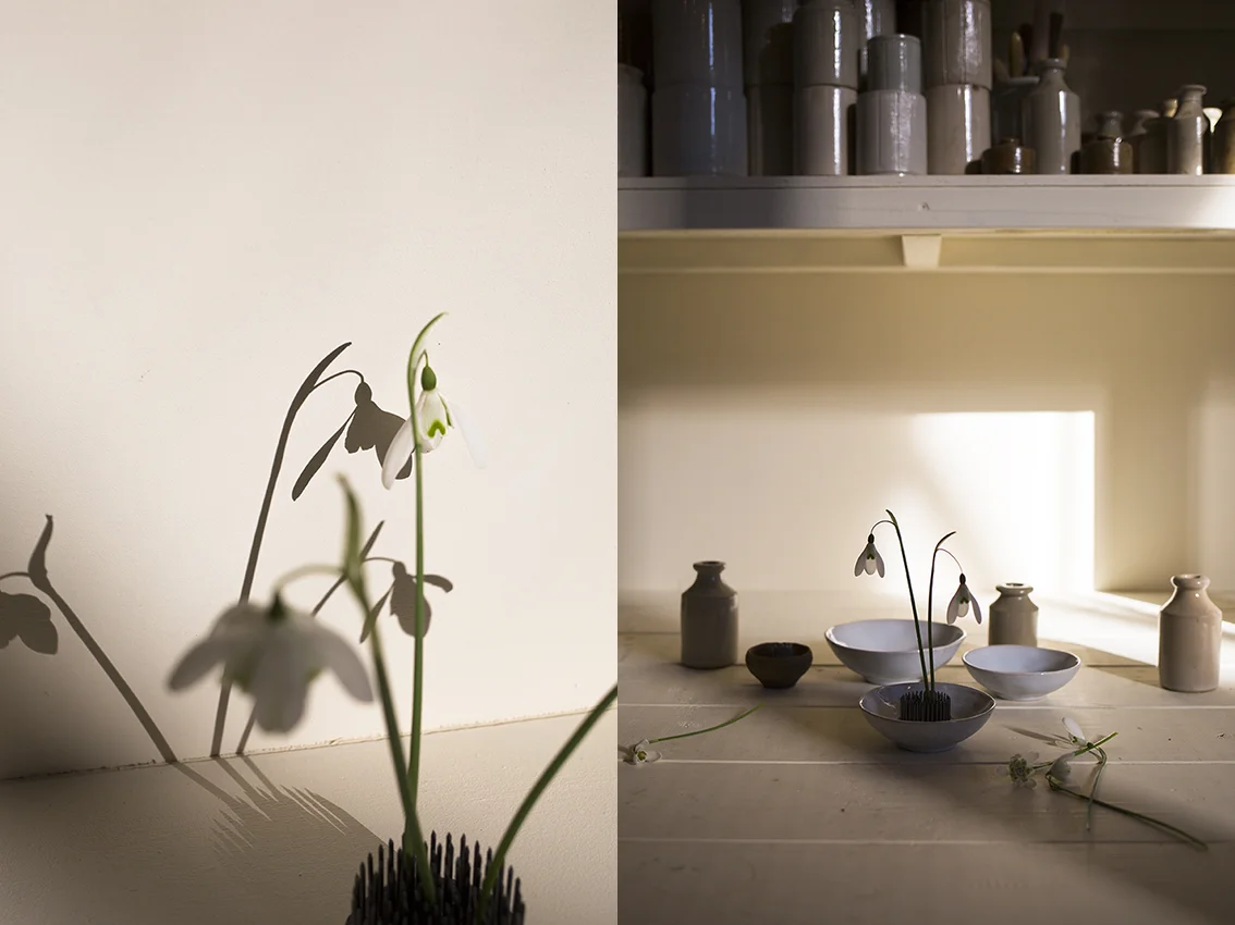 Snowdrop flowers | Aesme Studio London