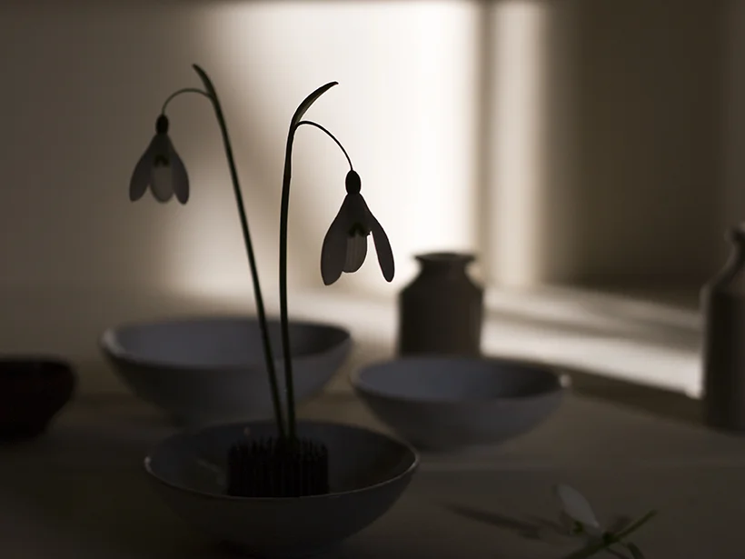 Snowdrop flower arrangements | Aesme Studio London