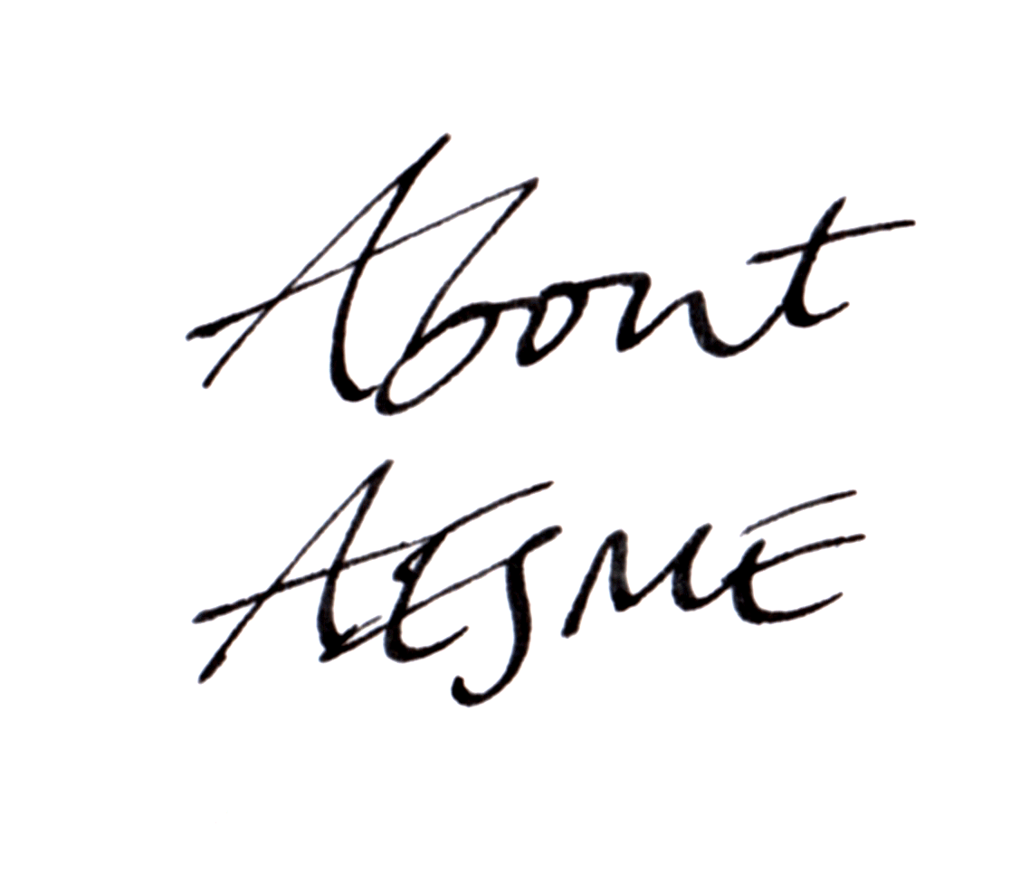 about-aesme2.gif