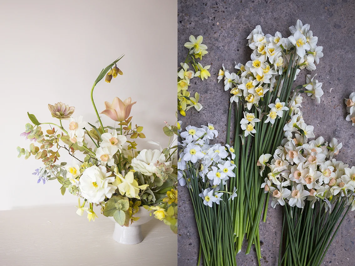 Spring flowers | Aesme Flower Studio London