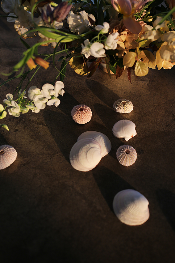 Above: pale pink urchins and creamy shells to reference the coastal setting Left:: Jess’ demo bouquet with spiraea and ranunculus