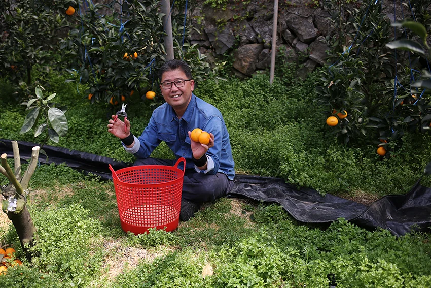 Flower School | a friendly mandarin farmer who gave us permission to roam his greenhouses and gorge on the sweet ripe fruit as we picked