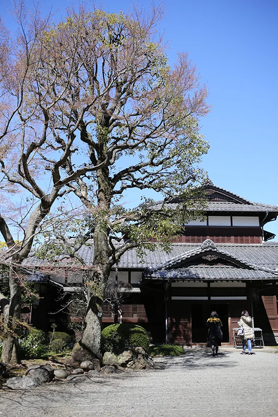 1Y9A8640.jpg