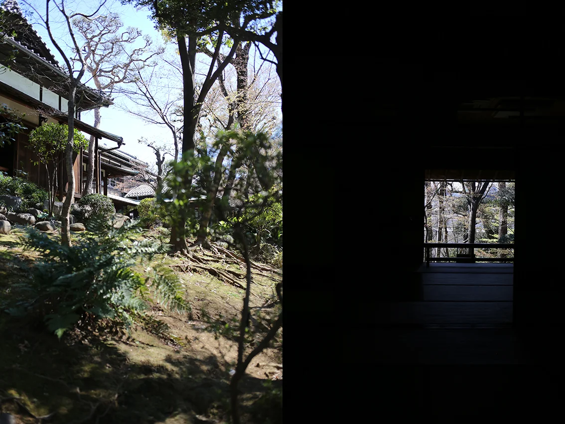 1Y9A86781.jpg