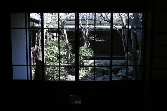 1Y9A8671.jpg
