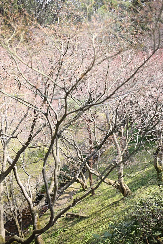 1Y9A8772.jpg