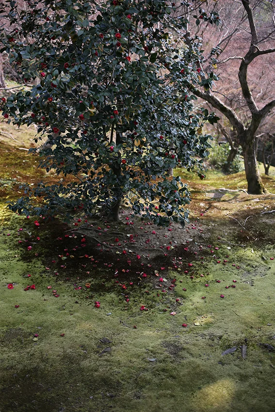 1Y9A8791.jpg