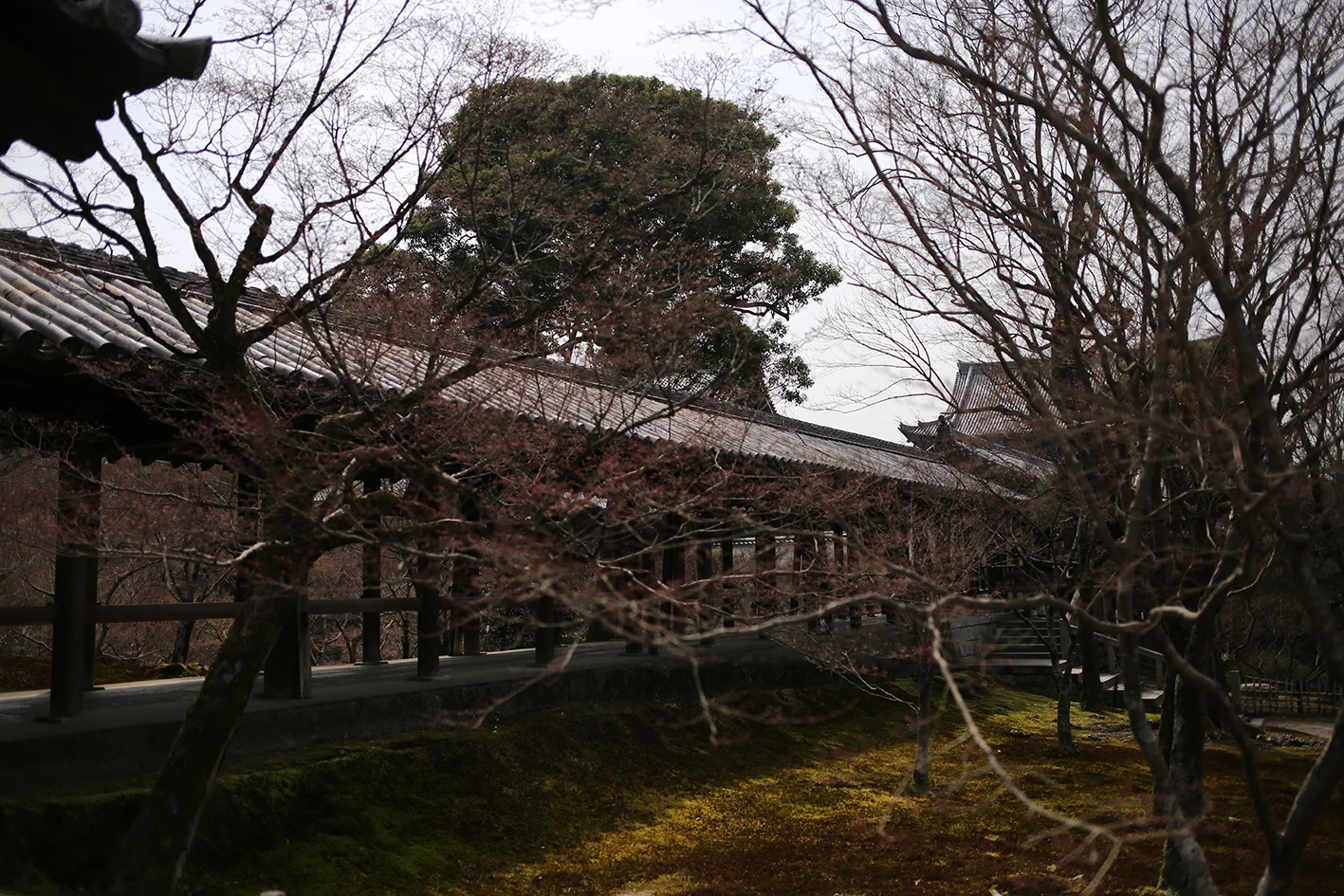 1Y9A8814.jpg