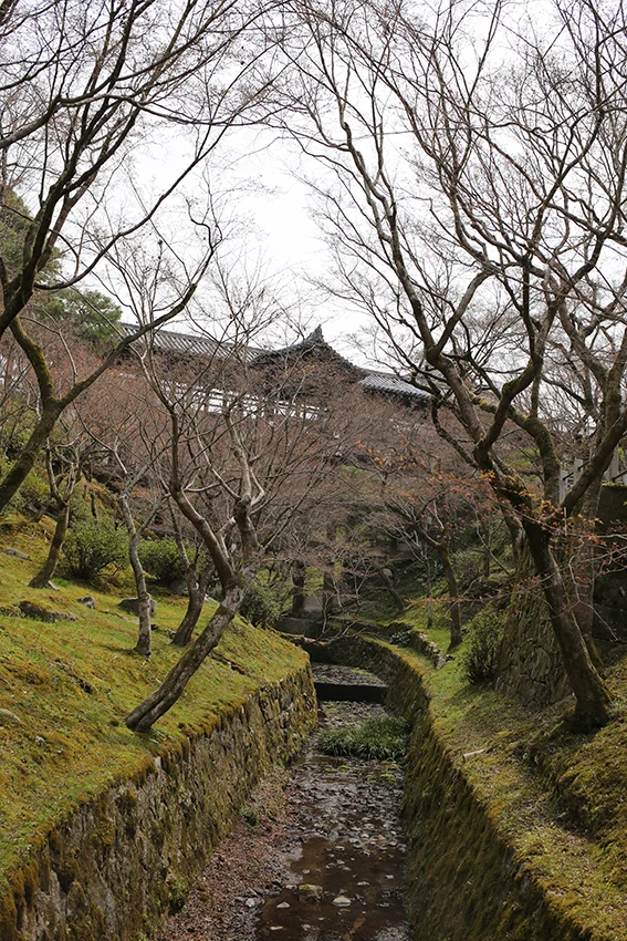 1Y9A8825.jpg