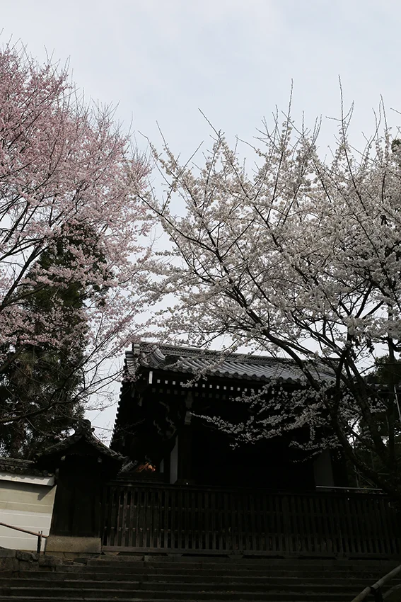1Y9A88451.jpg