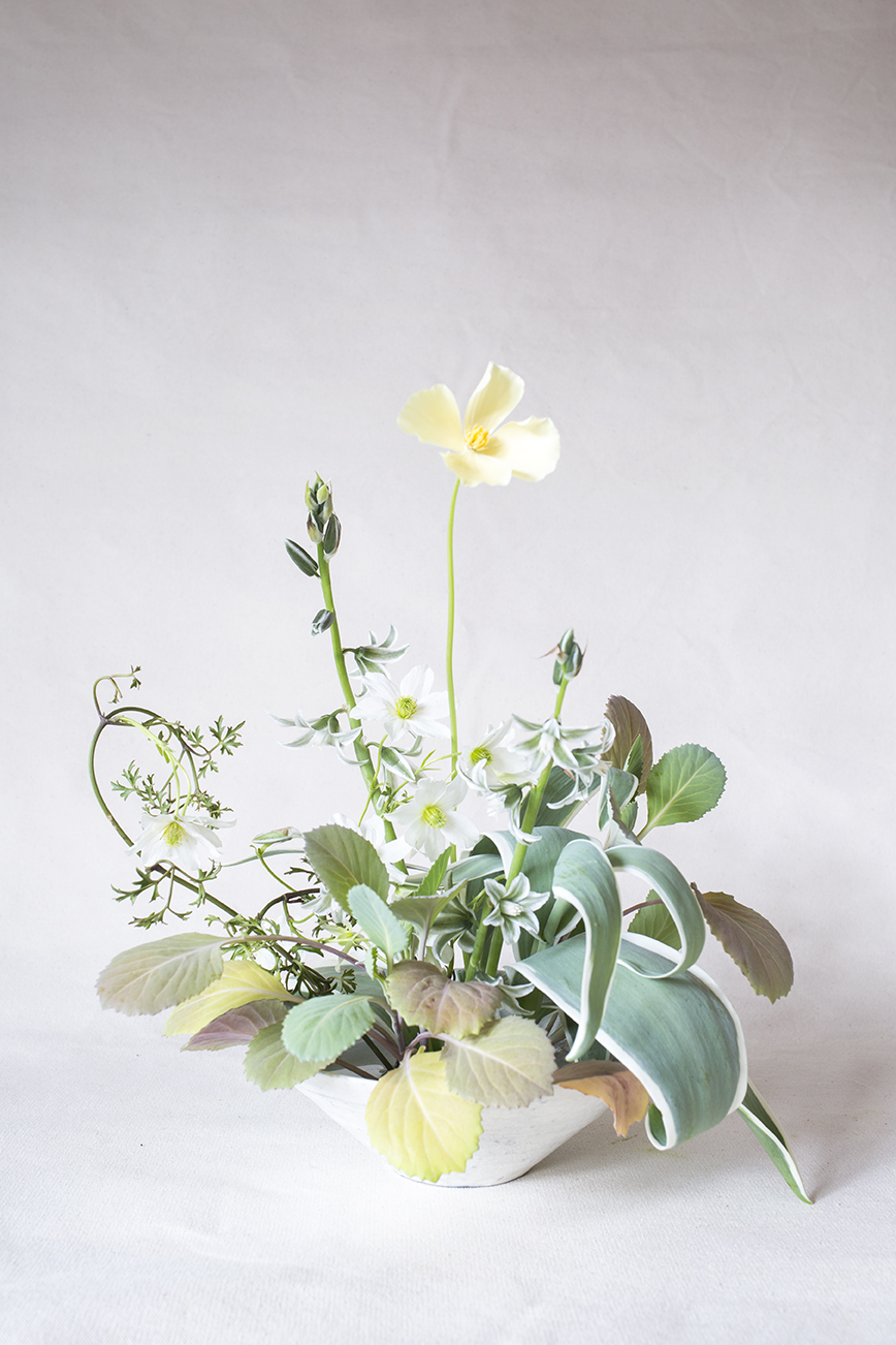 Materials | Cabbage & variegated tulip leaves, clematis, Californian poppy, Ornithogalum nutans