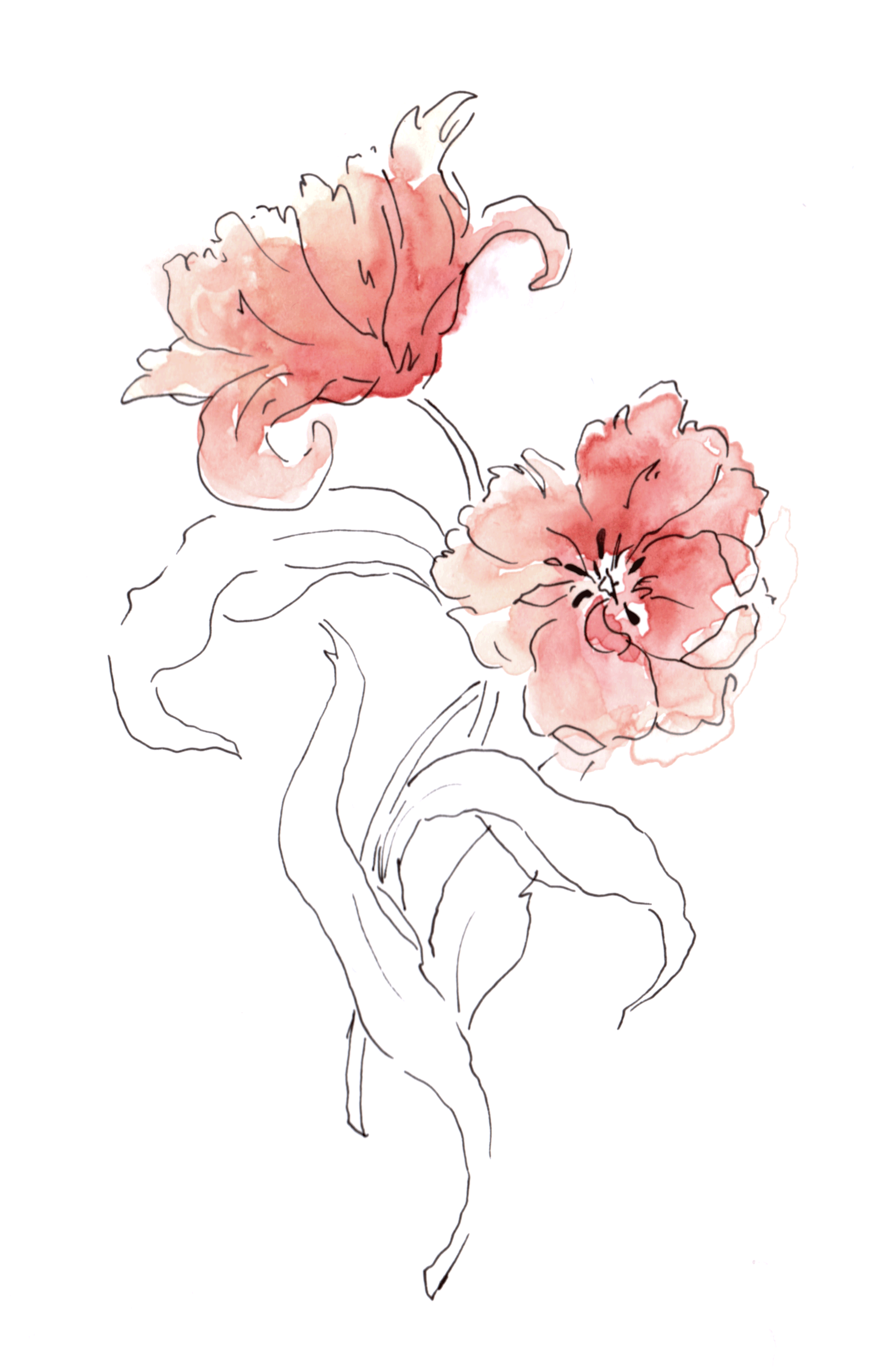 Belle.gif