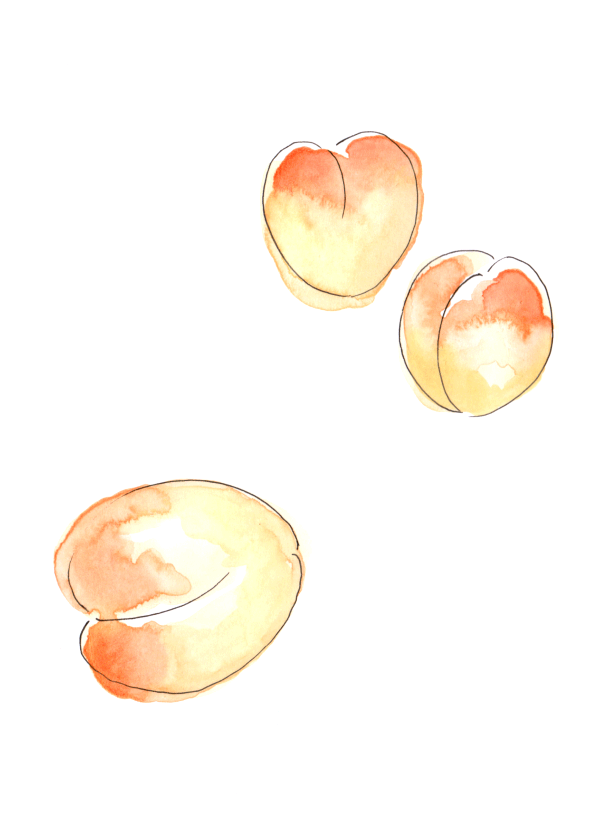 Apricots.gif