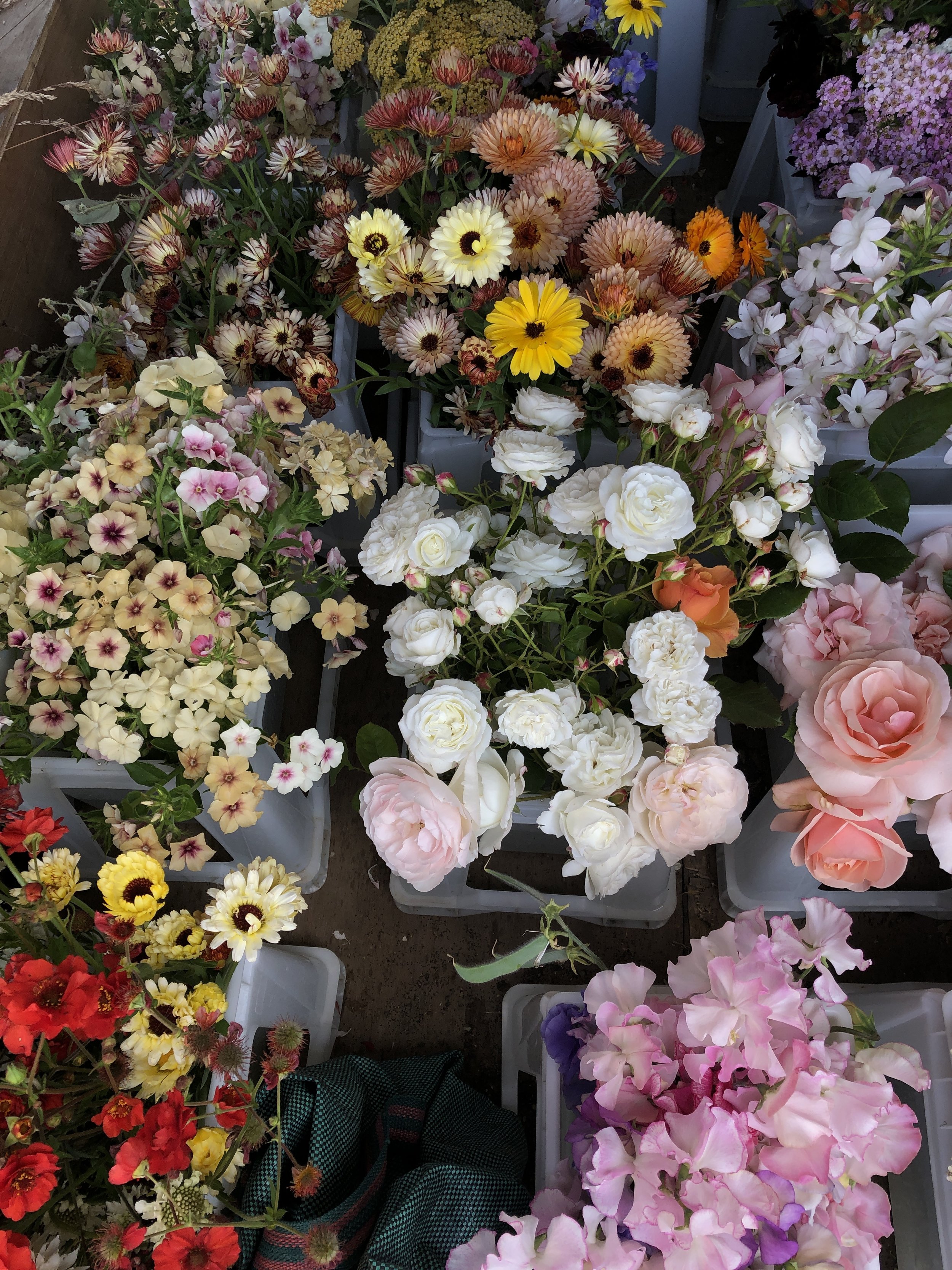AUGUST 2019 - News from our London flower studio and Hampshire flower farm