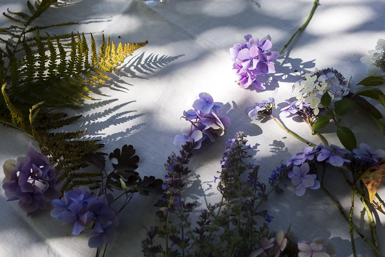 Heavenly snippets from Sarah’s garden.