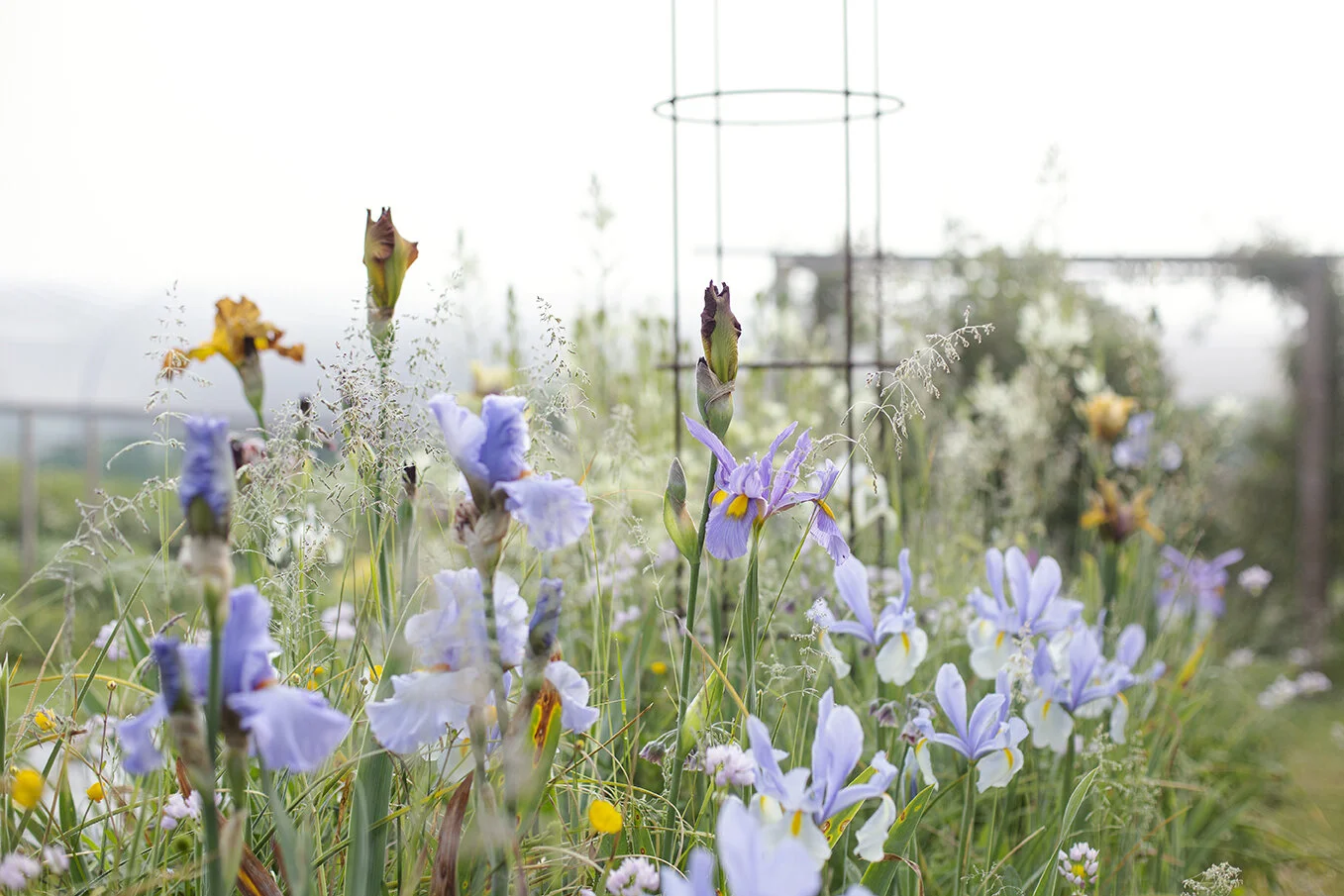 Seasonal wedding flowers
