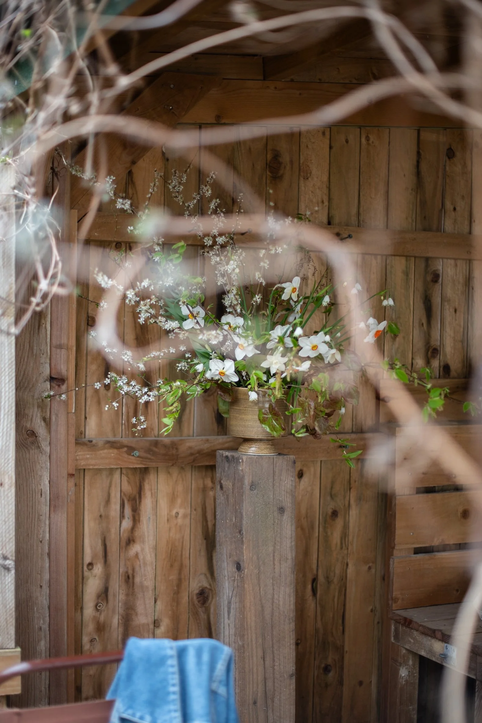 A Breath of Fresh Air