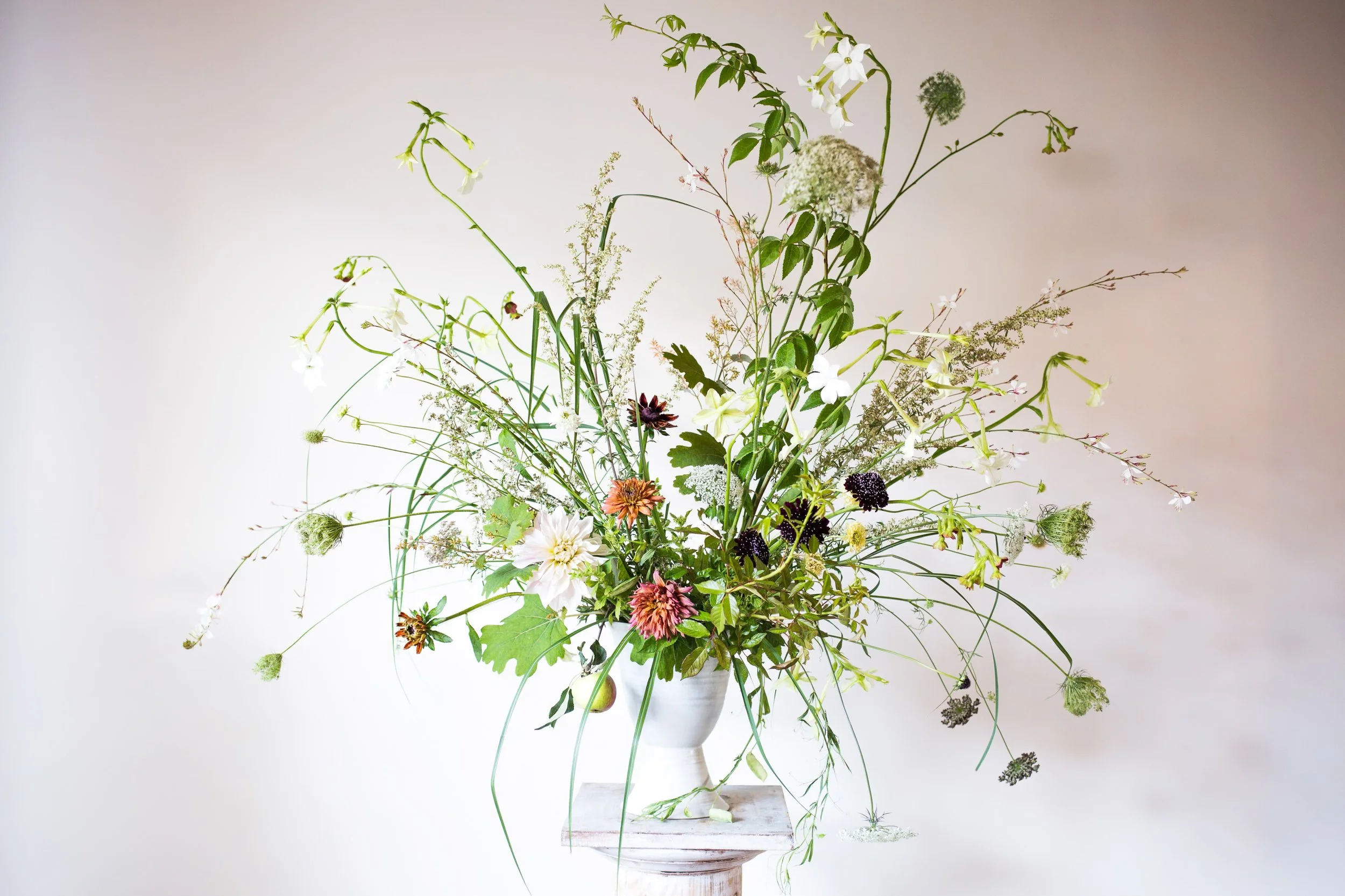 TOBACCO PLANT, MUGWORT, APPLE