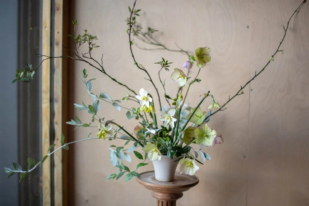 AZALEA, GERMANDER, NARCISSUS