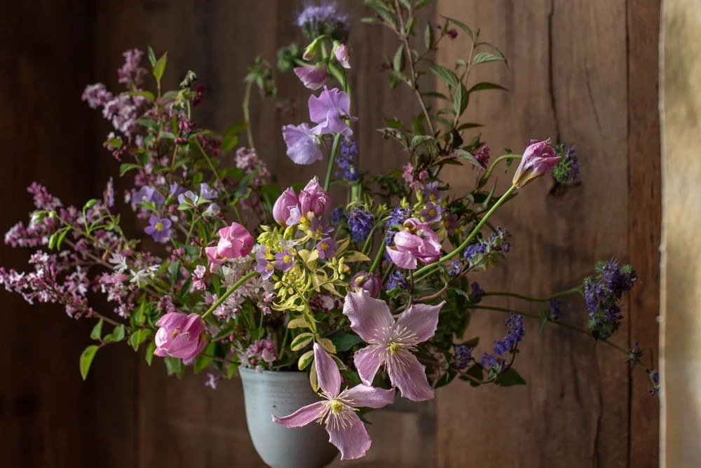 KOREAN LILAC &amp; CATMINT