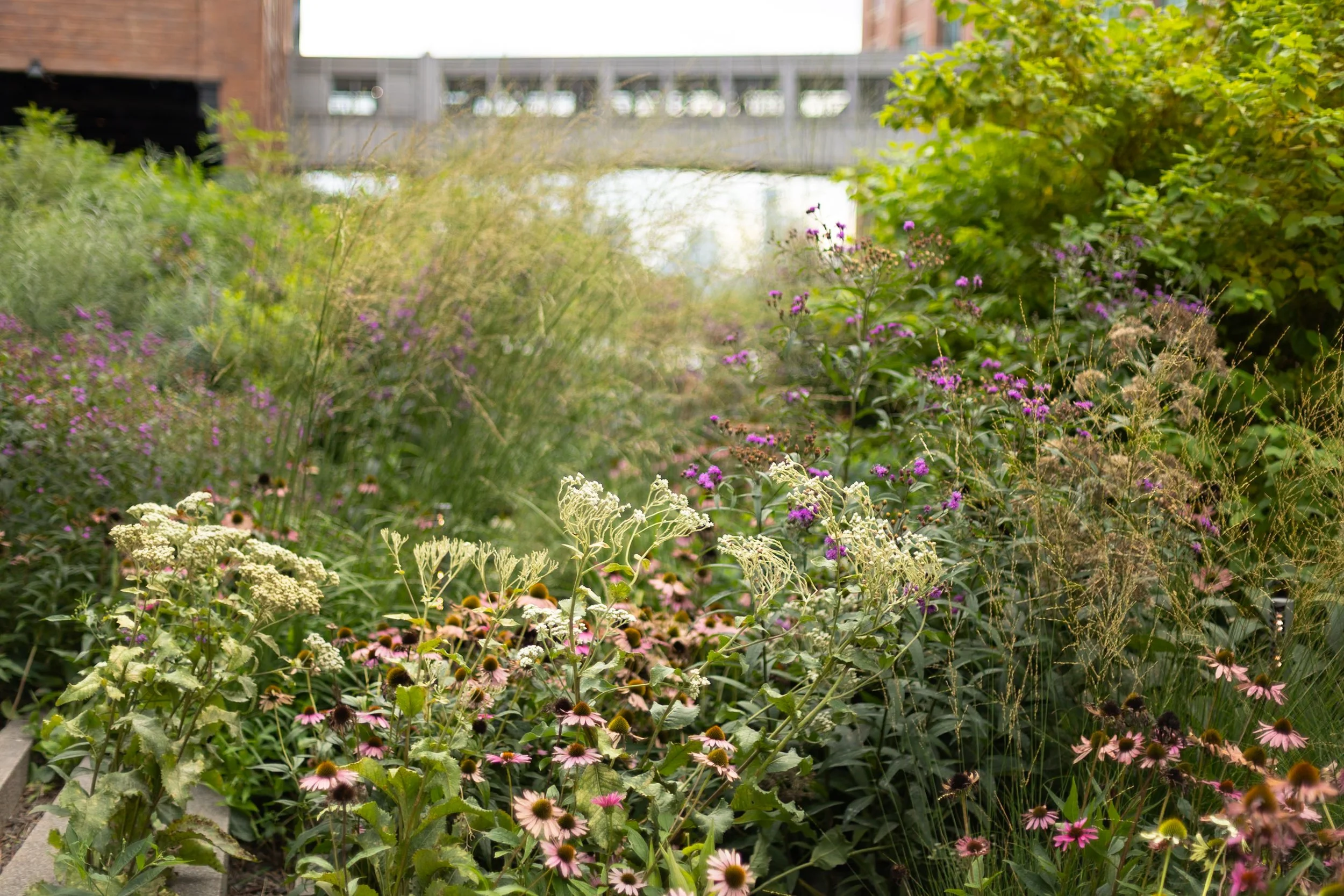 the highline new york