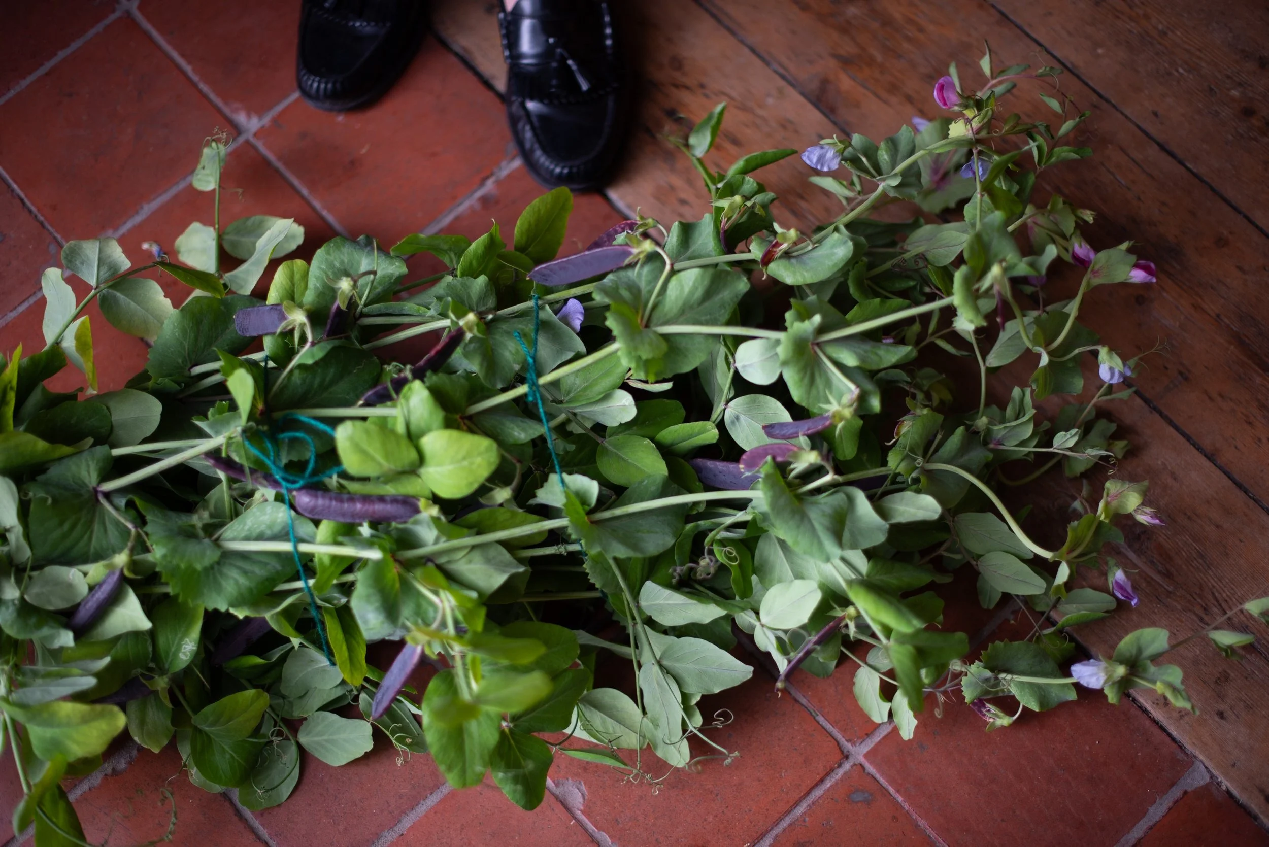 Naturalistic Flowers Aesme Studio