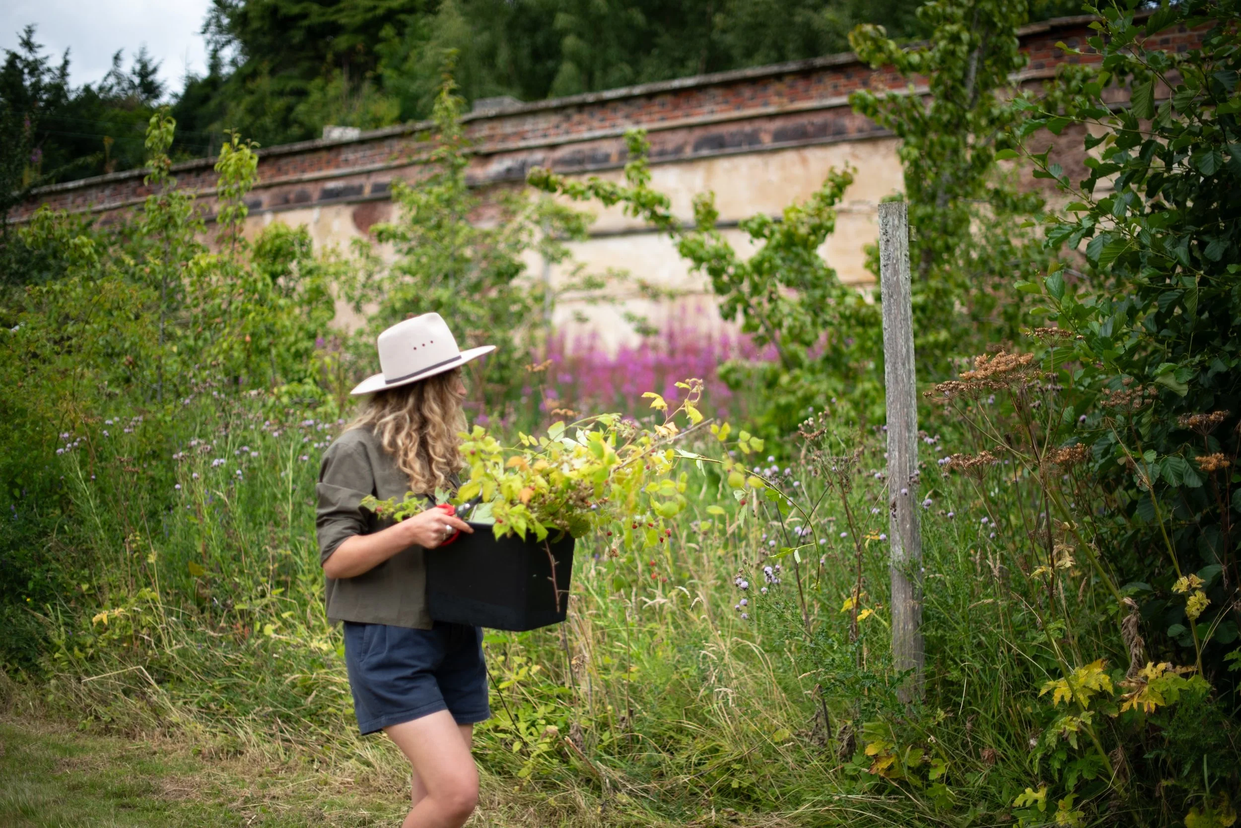 Naturalistic Flowers Aesme Studio