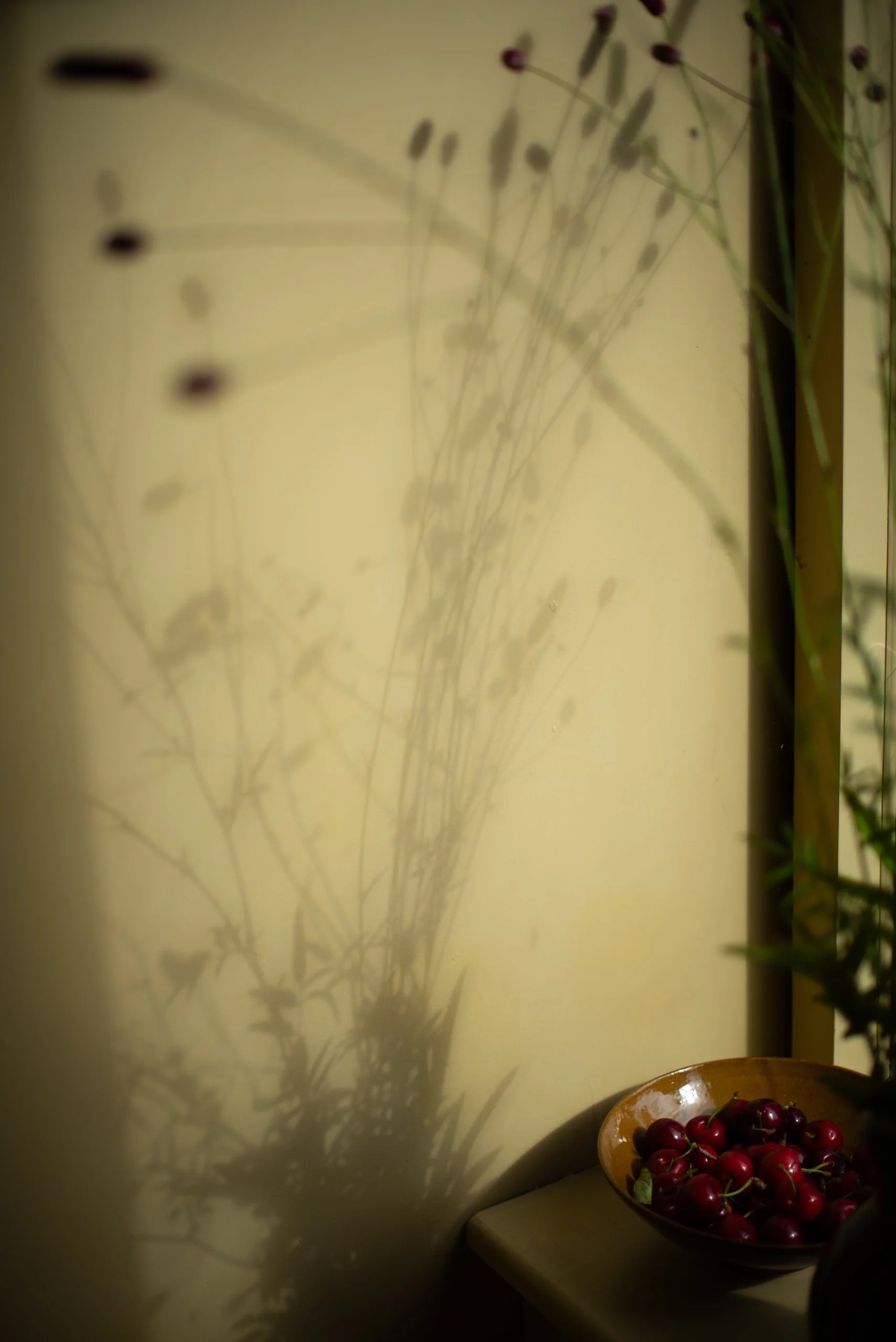 Naturalistic Flowers Aesme Studio
