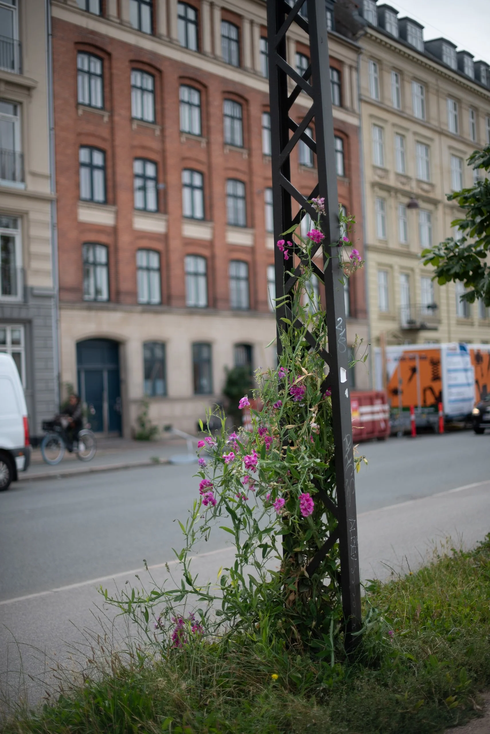 Naturalistic flowers Aesme Studio