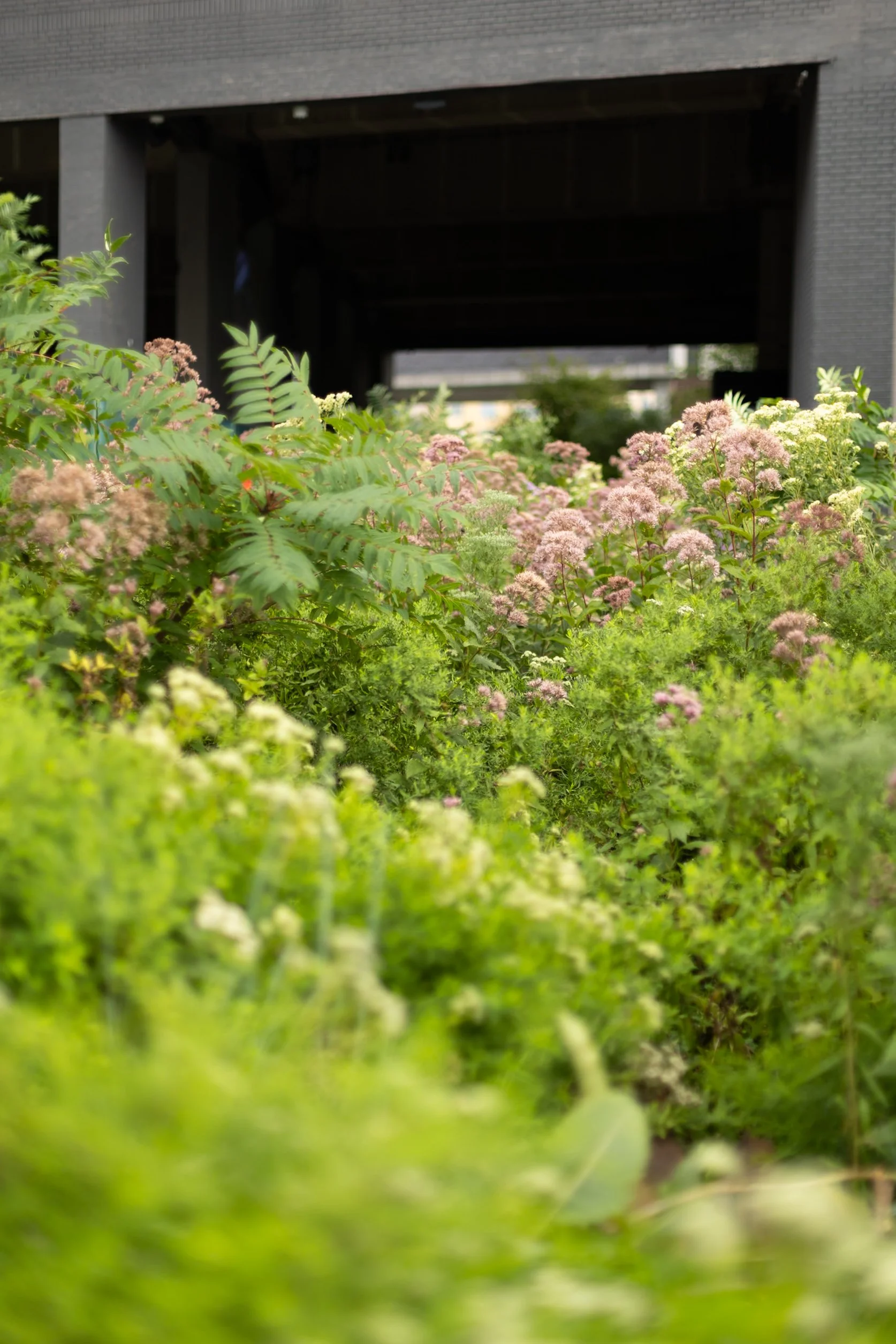 the highline new york