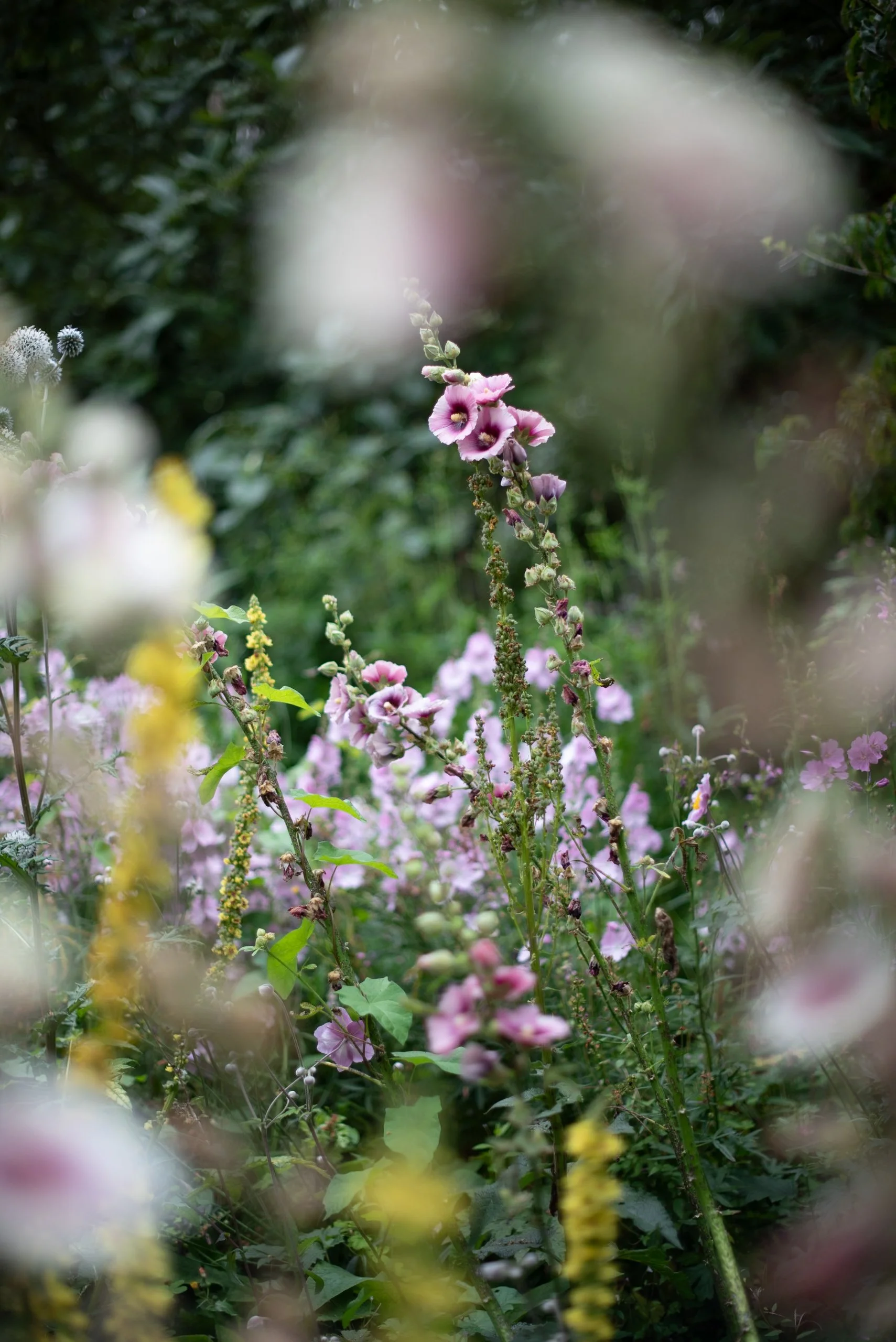 Naturalistic Flowers Aesme Studio