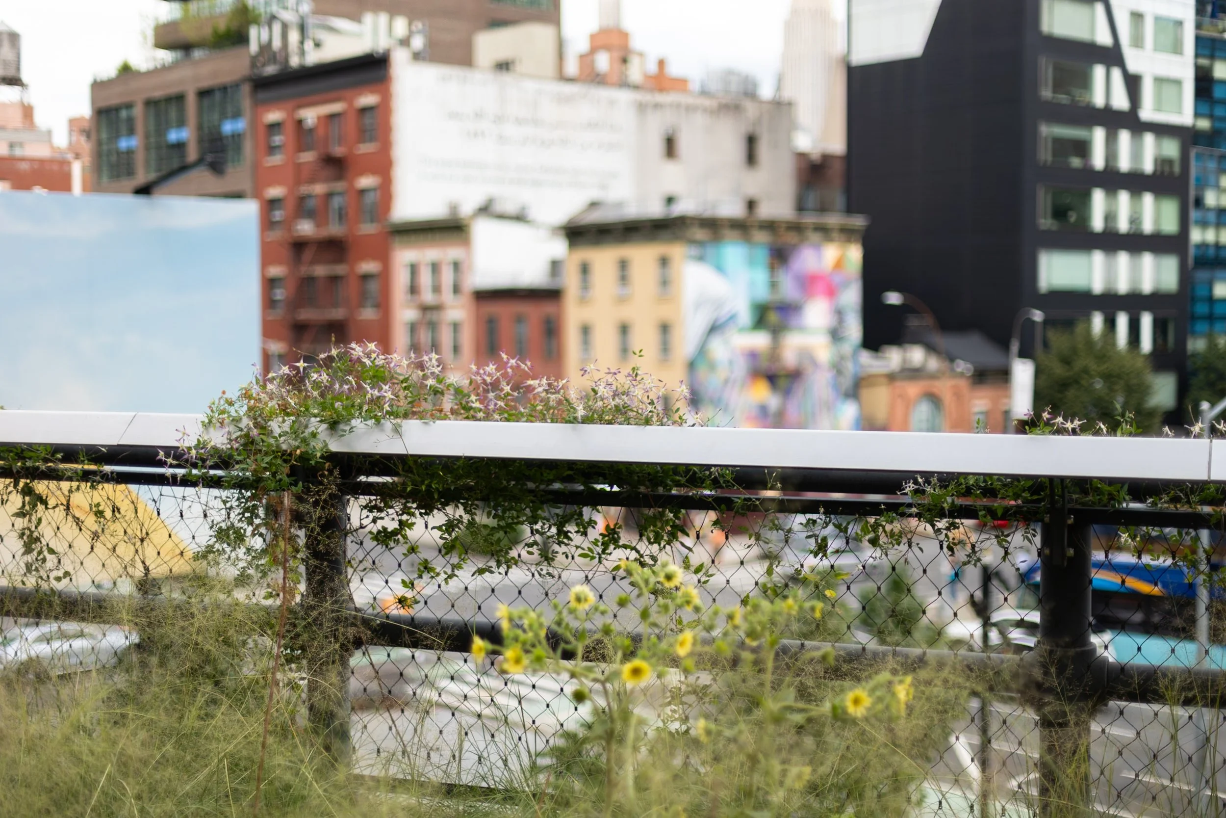 the highline new york