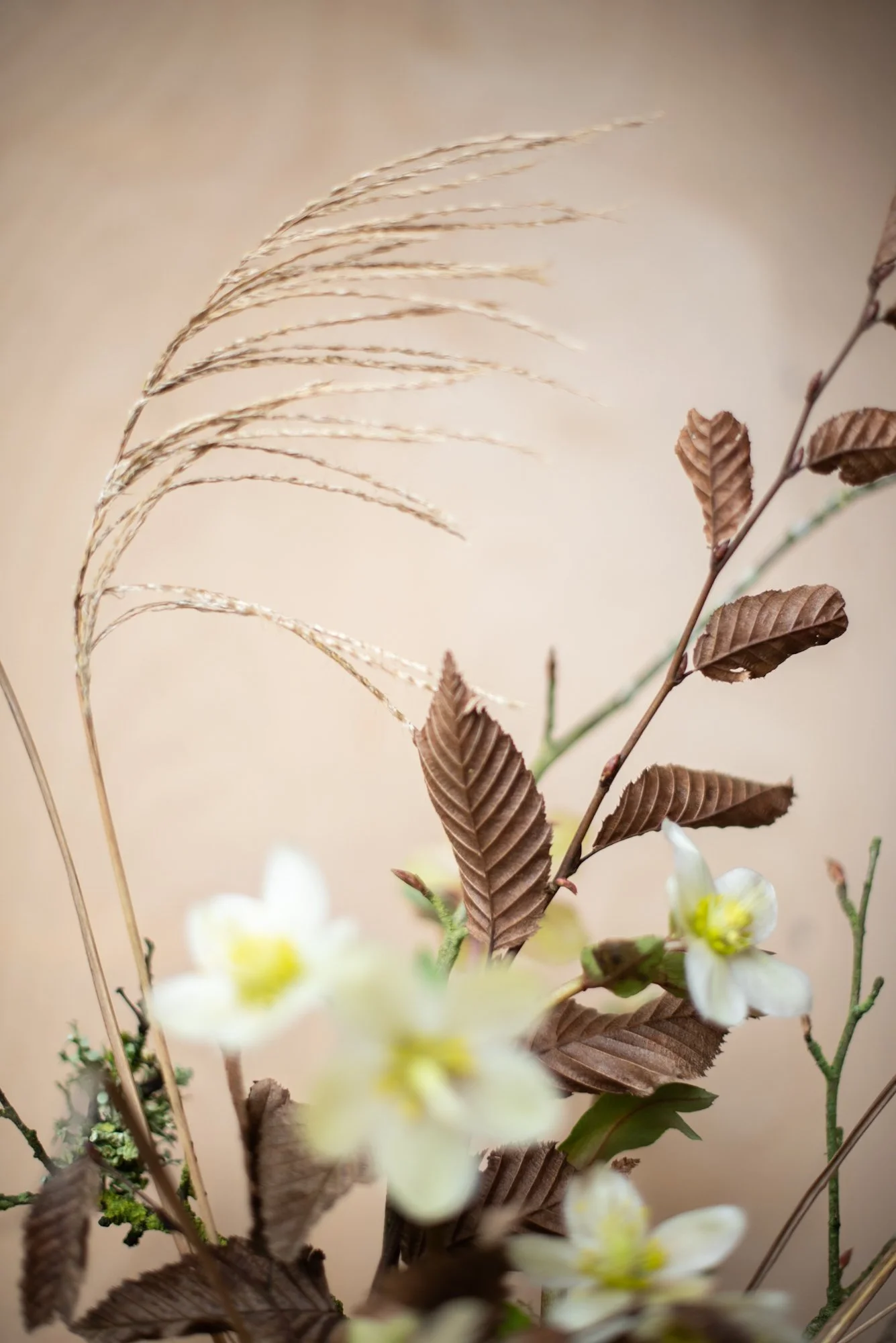 Winter flower arrangement